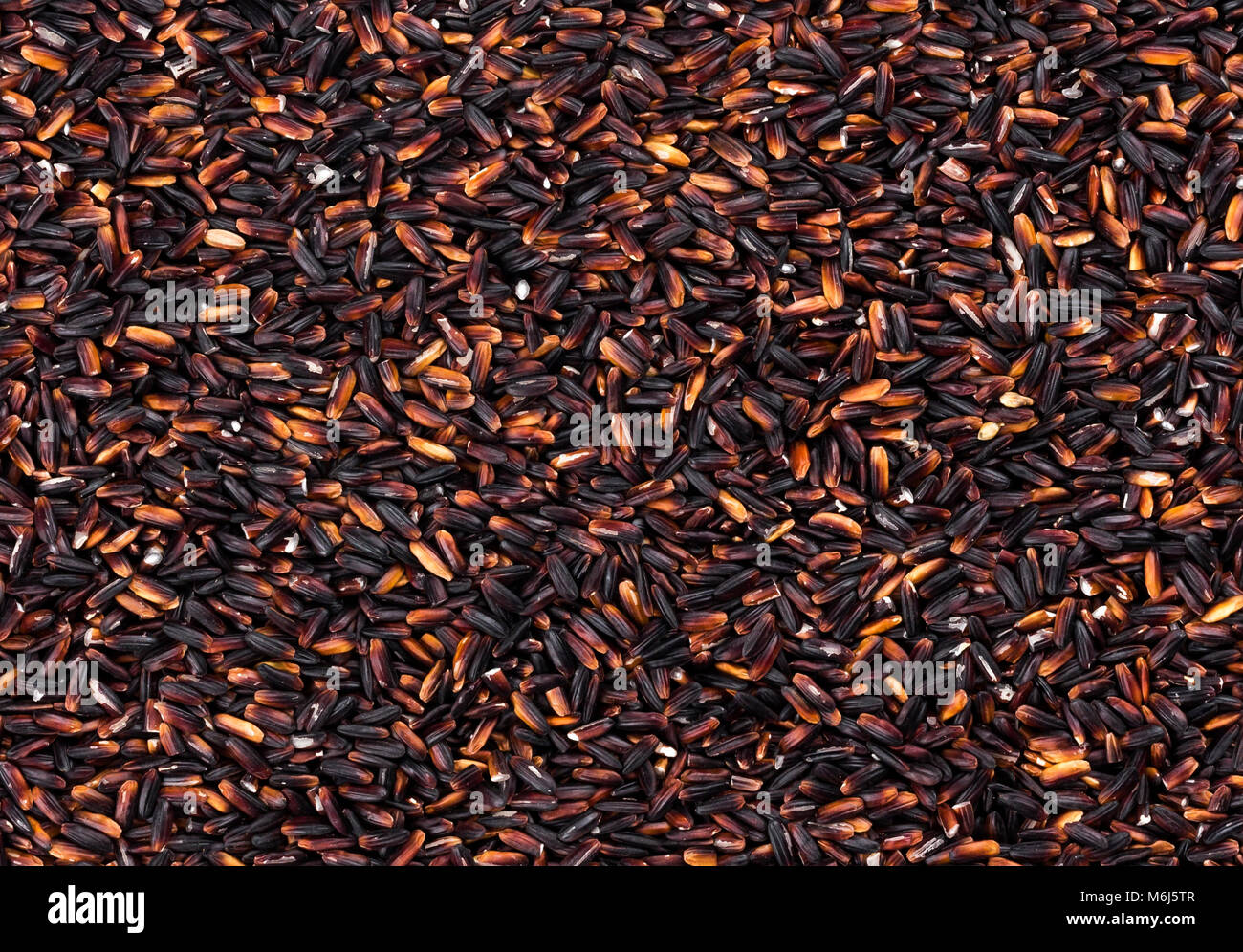 Black rice hi-res stock photography and images - Alamy