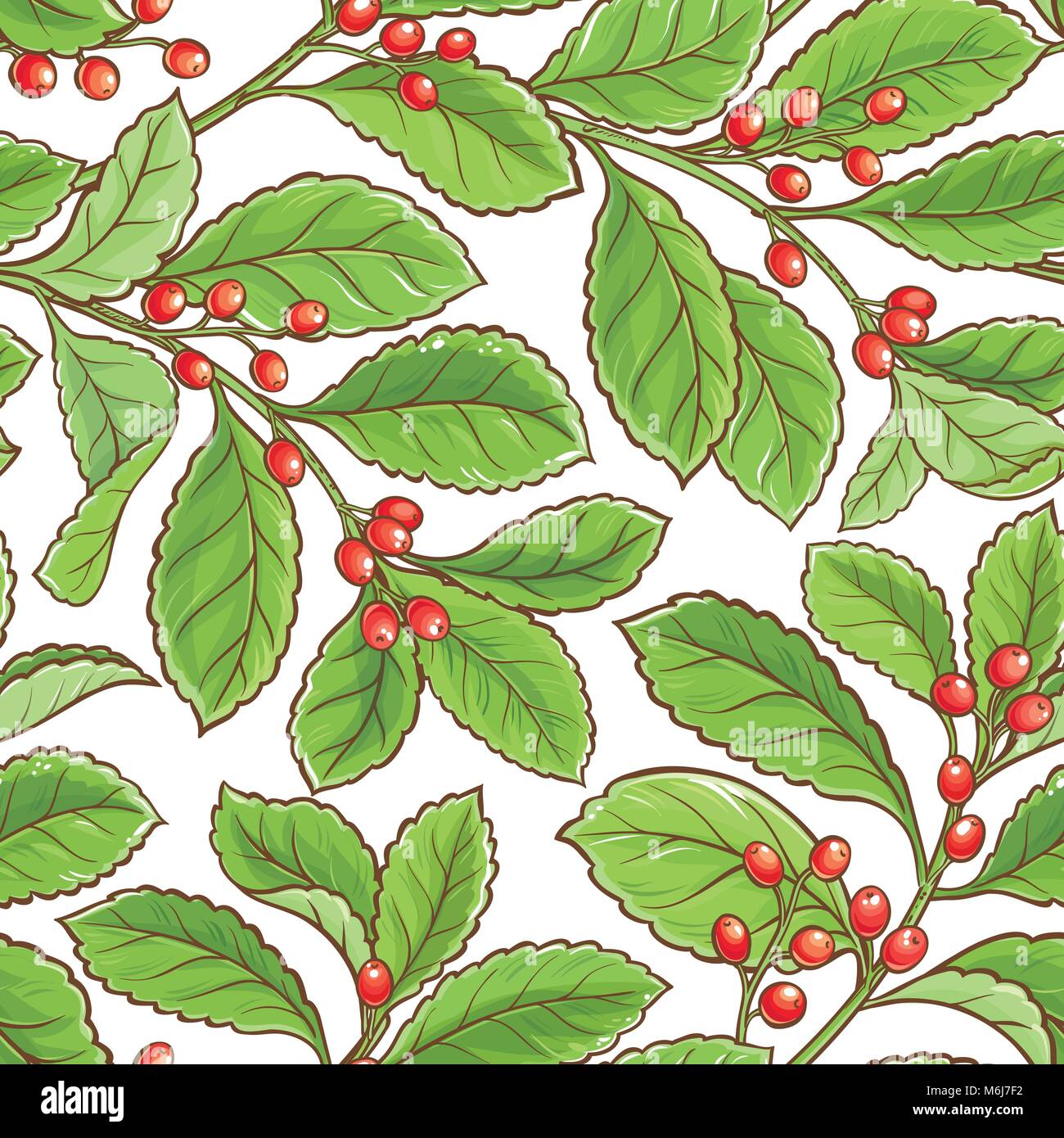 yerba mate vector pattern on white background Stock Vector Image & Art