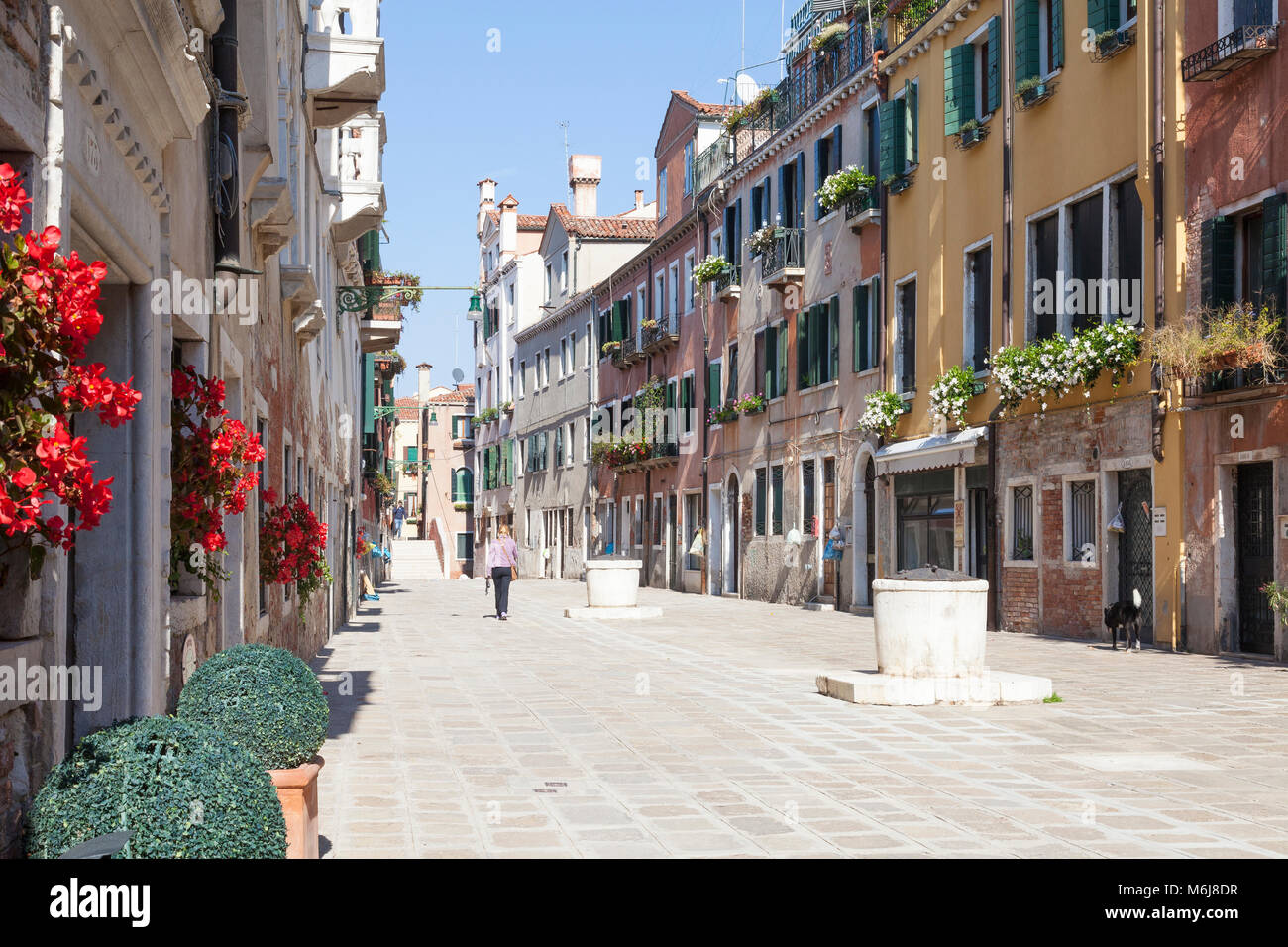 Picturesque Ruga do Pozzi, Cannaregio, Venice, Veneto, Italy named after the ancient well heads. Colourful summer flowers in window boxes. Stock Photo