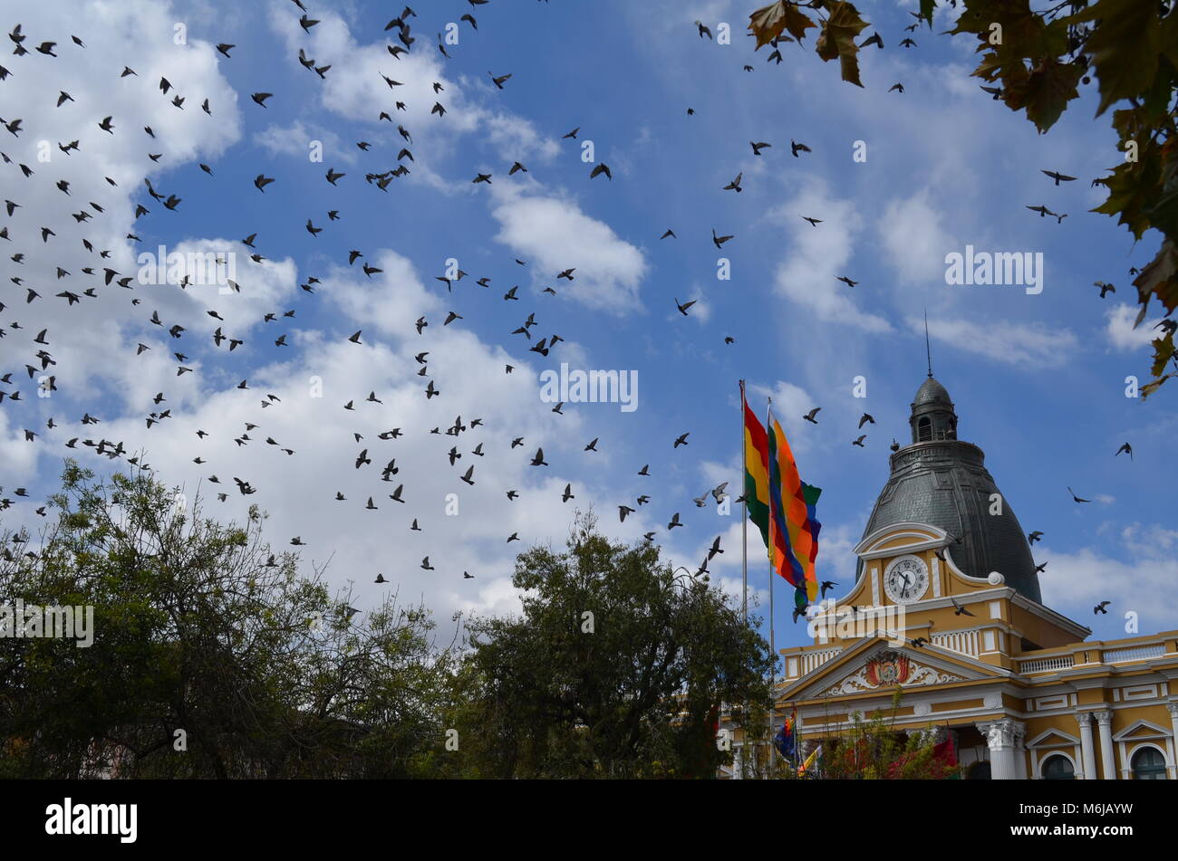 Birds flying over Plaza Murillo Square in La Paz, Palacio de Gobierno, Bolivia Stock Photo