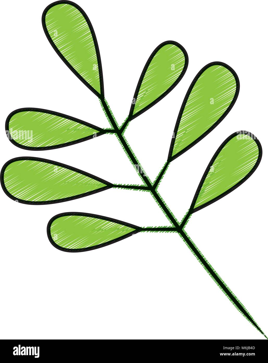 tree branch with green leaves plant natural Stock Vector Image & Art ...