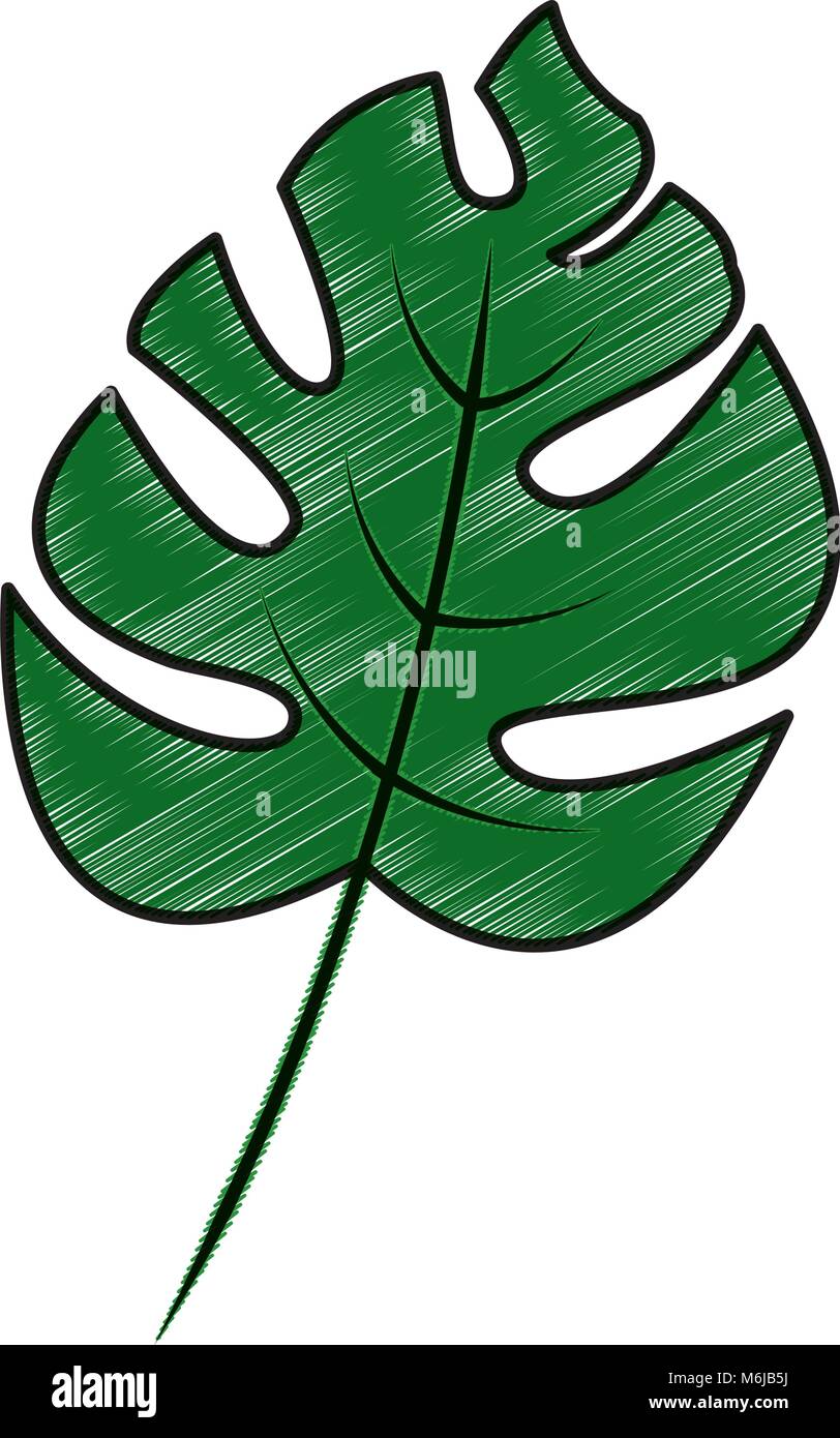 tropical leaf green spring season eco nature Stock Vector Image & Art ...