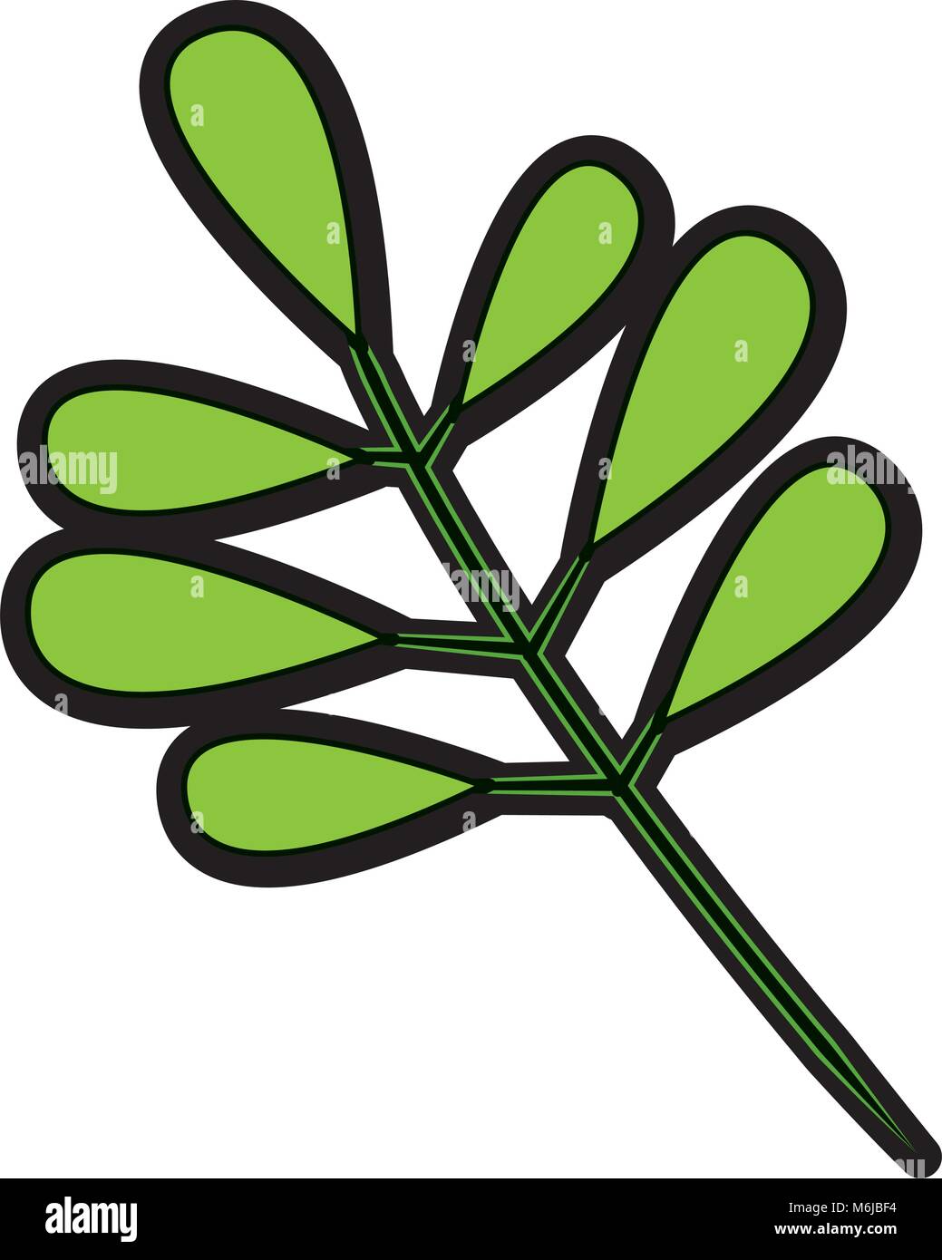 tree branch with green leaves plant natural Stock Vector Image & Art ...