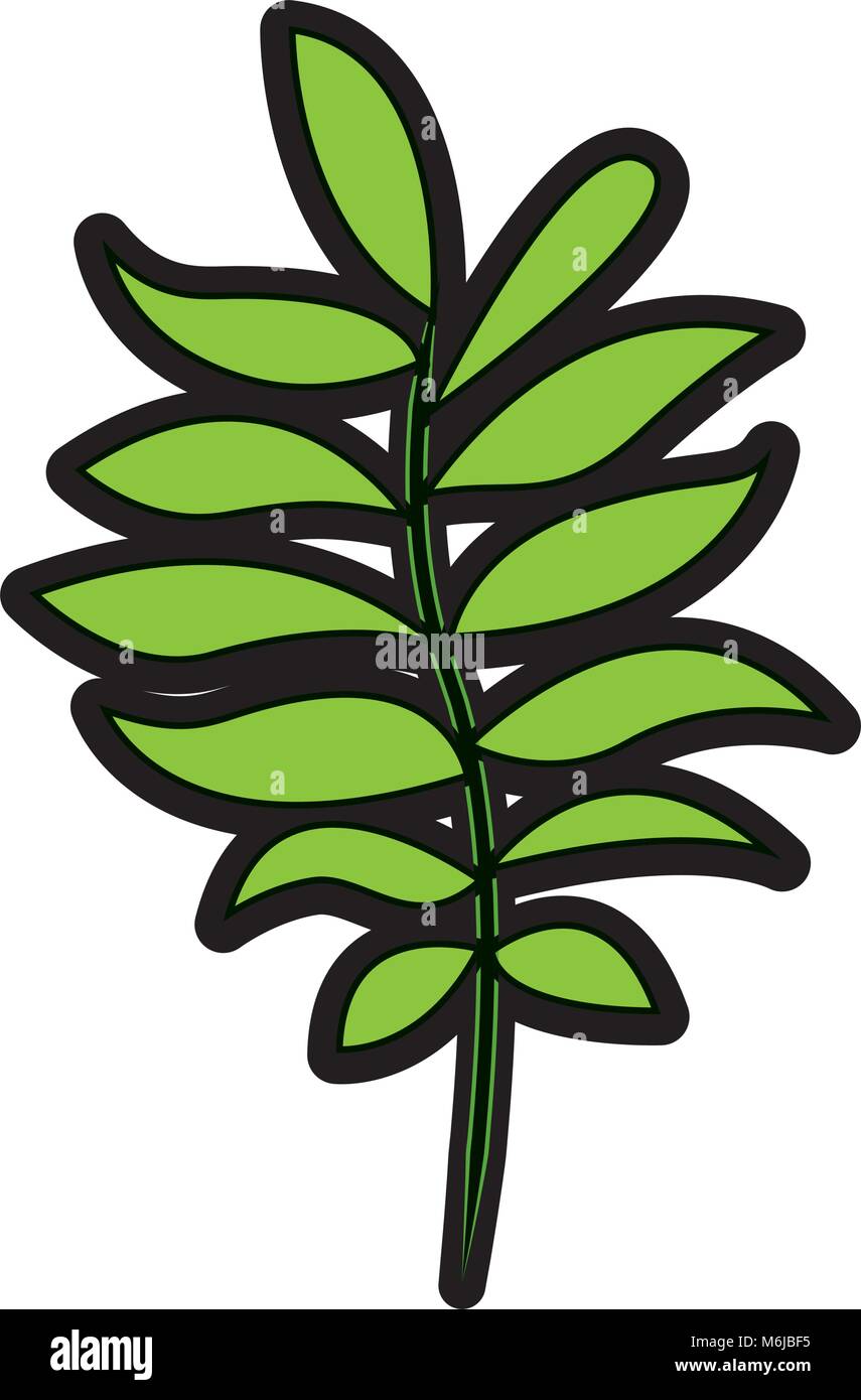 tree branch with green leaves plant natural Stock Vector Image & Art ...