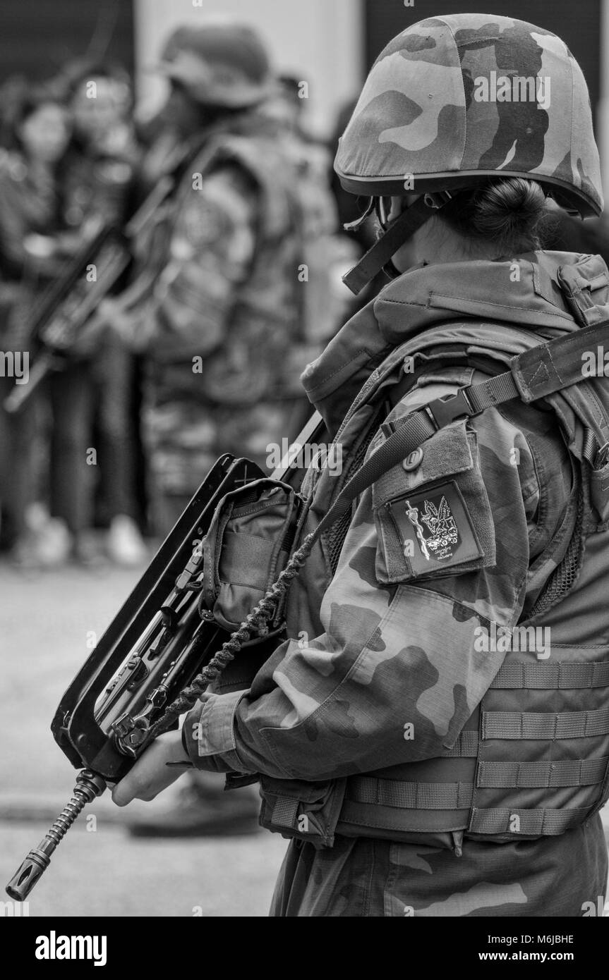 French soldier mounts guard on the occasion of a public drill, Lyon
