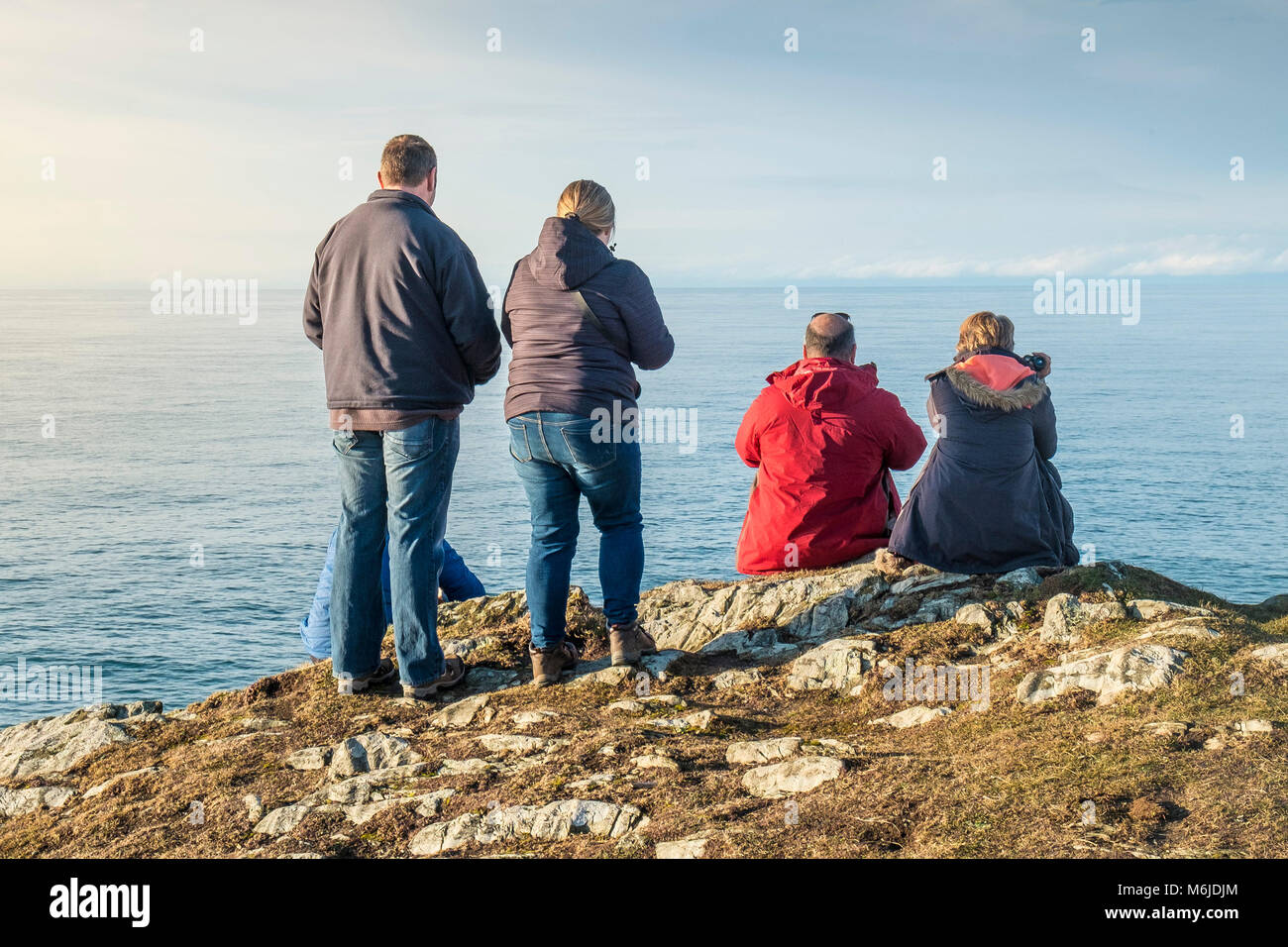 A group of people looking for wildlife off the coast of Towan Head in Newquay Cornwall. Stock Photo