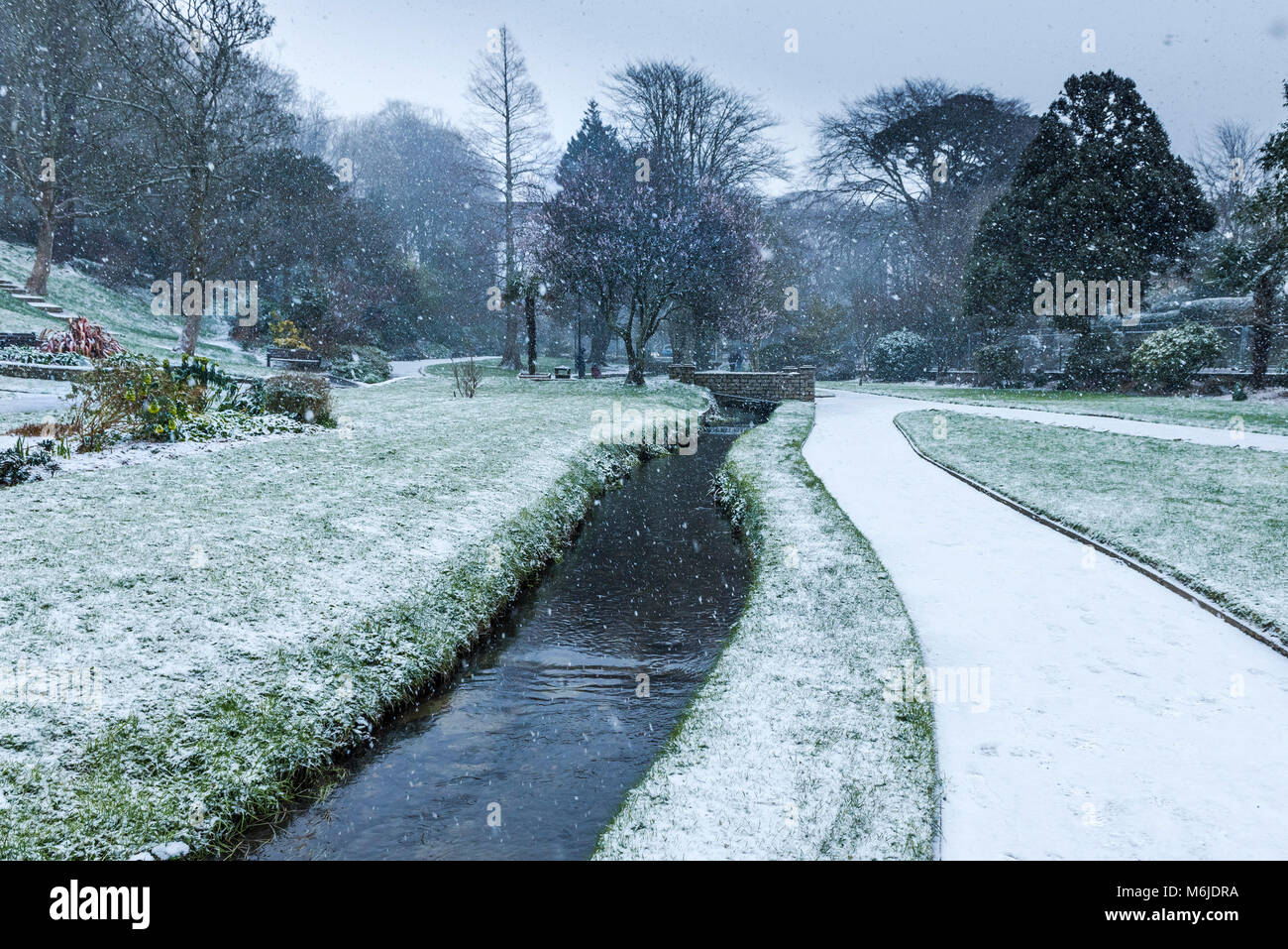Falling snow in Trenance Gardens in Newquay Cornwall Stock Photo Alamy