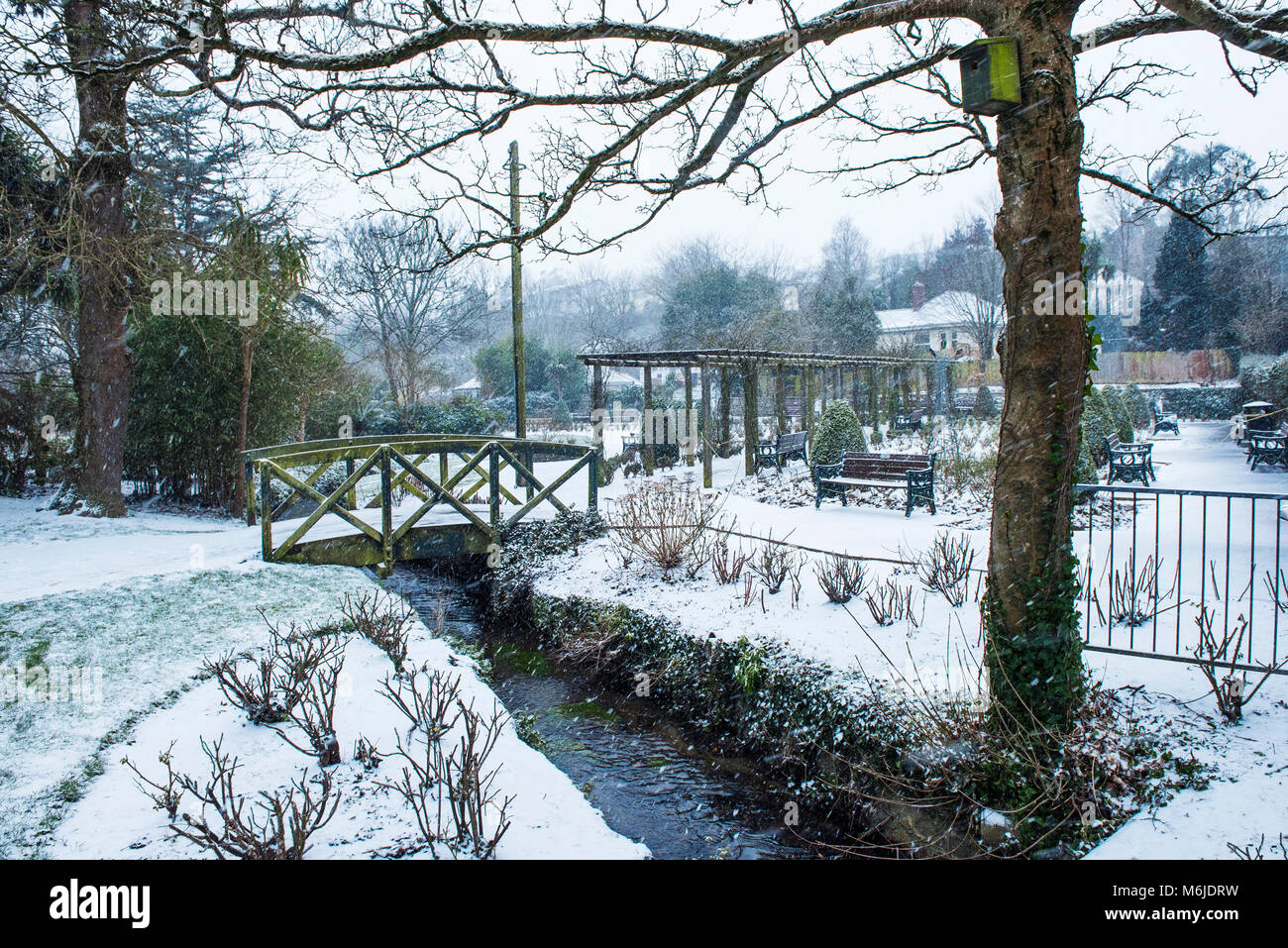 Heavy snowfall in Trenance Gardens in Newquay Cornwall Stock Photo Alamy