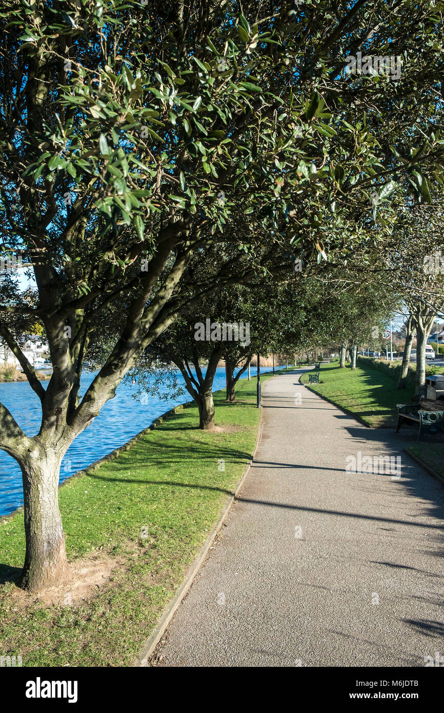 A tree lined path at Trenance Boating Lake in Newquay Cornwall. Stock Photo