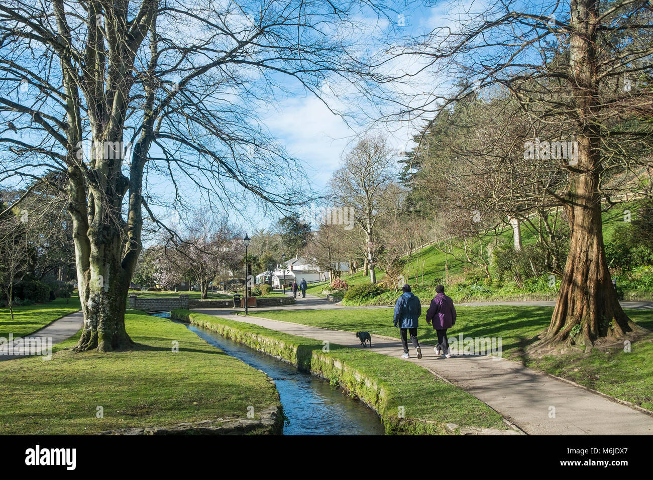 A stream flowing though Trenance Gardens in Newquay Cornwall. Stock Photo
