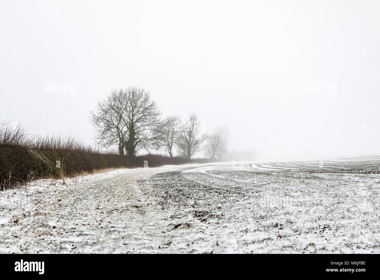 An image taken on a cold, misty morning, after several days of snow, in the fields near Kibworth Harcourt, Leicestershire, England, UK Stock Photo