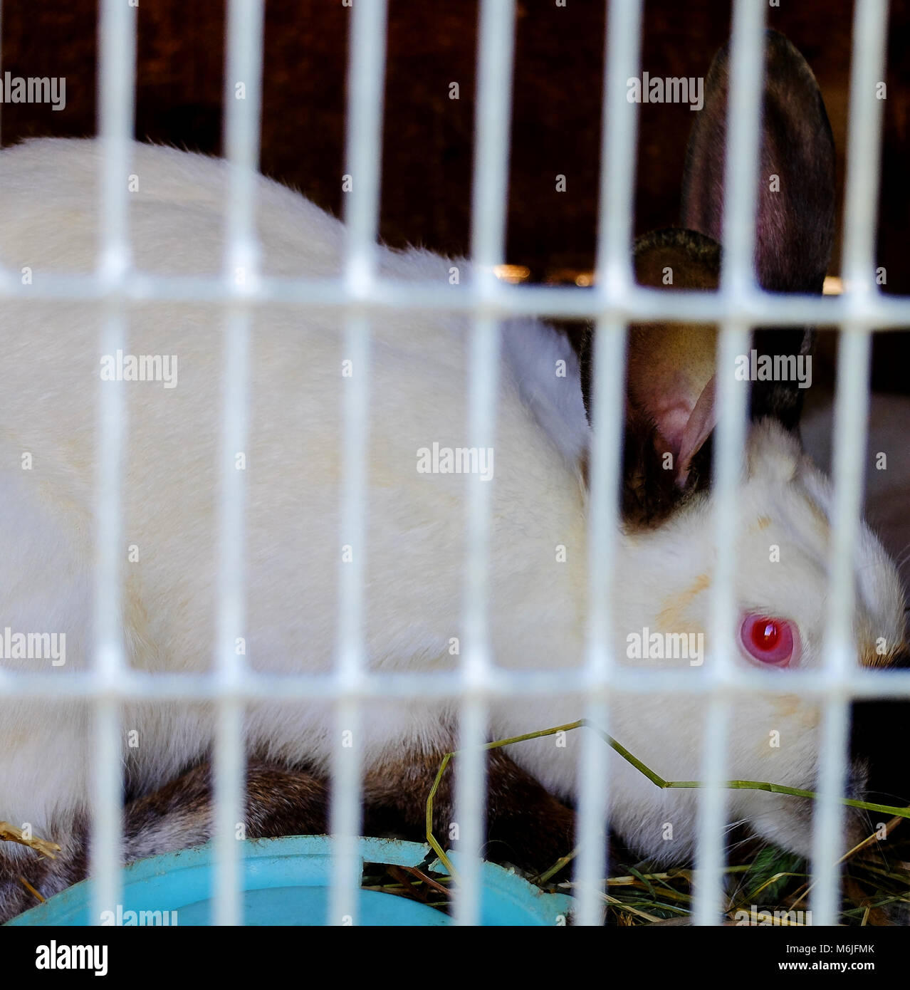 My Image 32