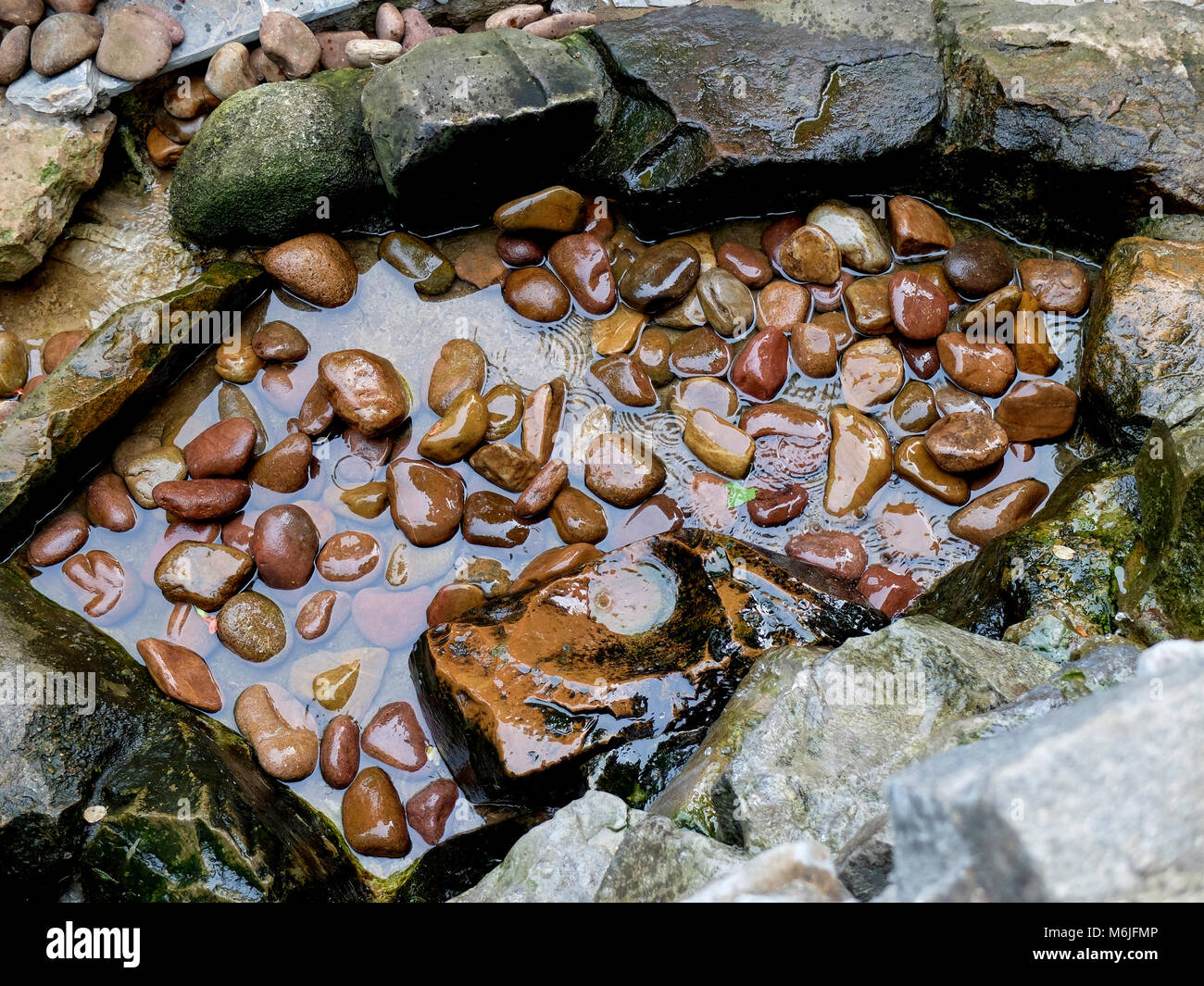 Many stones in the pond under the rain at the park Stock Photo
