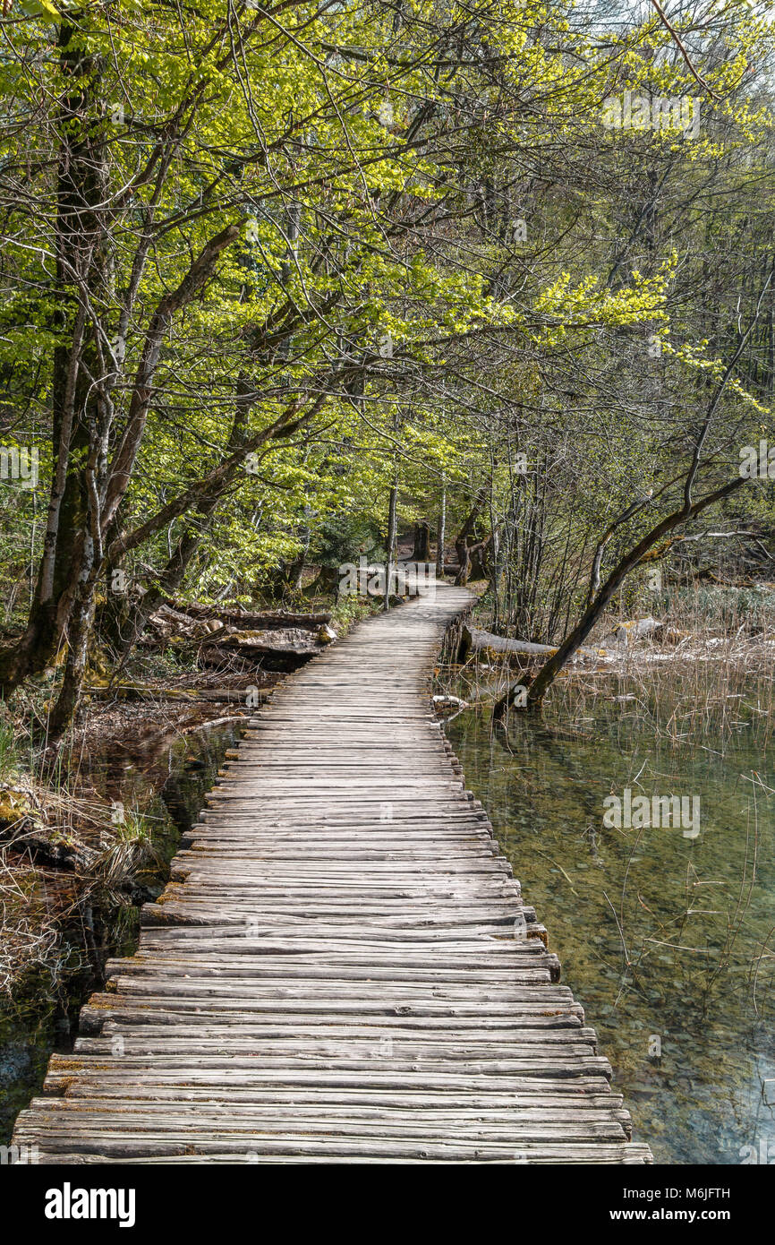 A footpath winding through Plitvice Lakes National Park Stock Photo