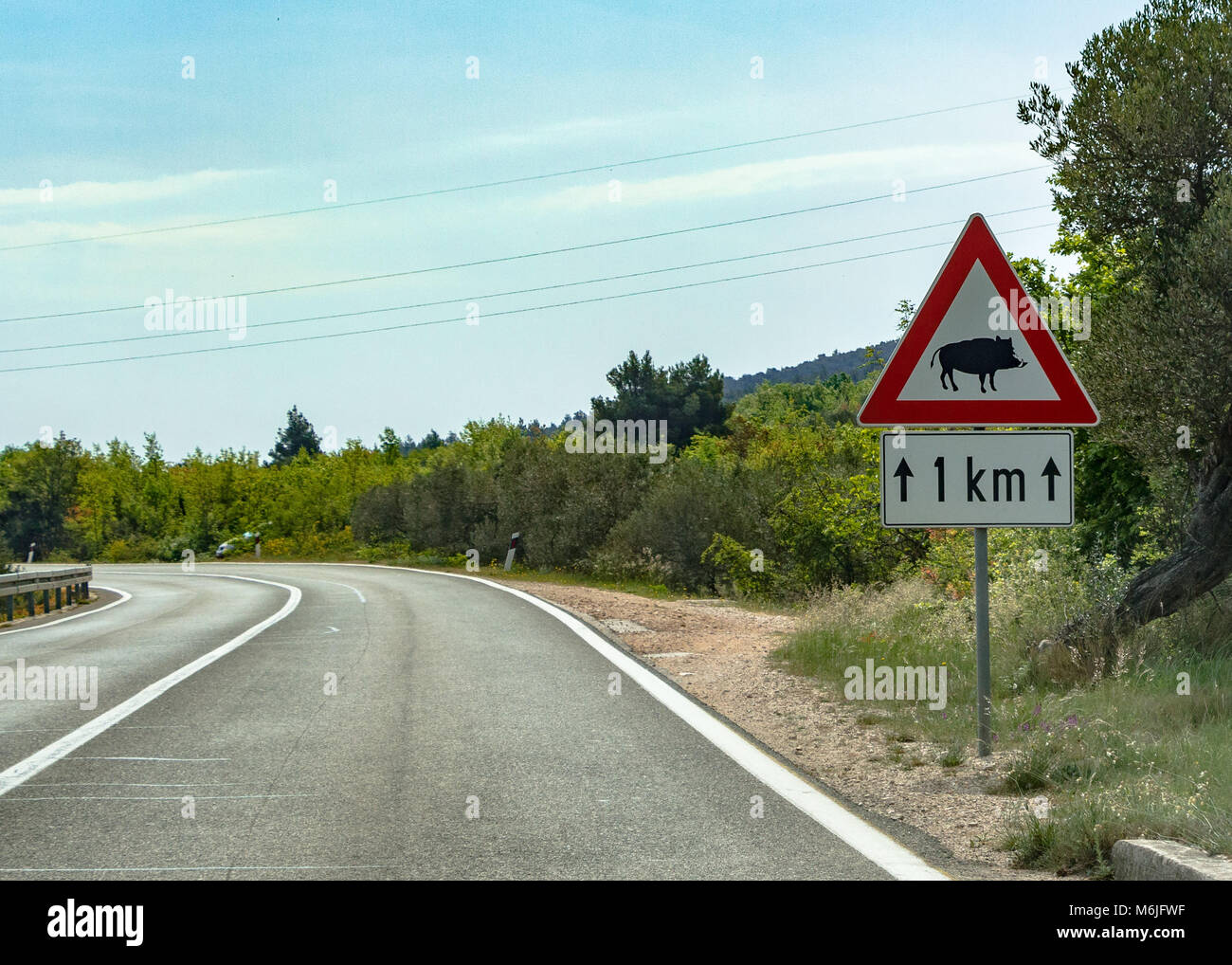 https://c8.alamy.com/comp/M6JFWF/warning-wild-boar-crossing-in-croatia-M6JFWF.jpg