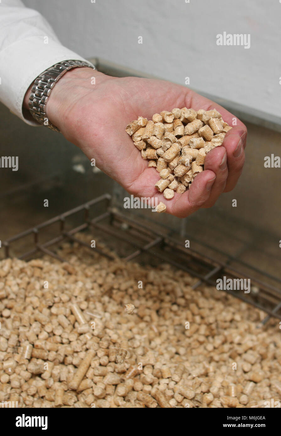 BIOMASS ENERGY Briquettes are use in a family house for heating 2007 Stock Photo