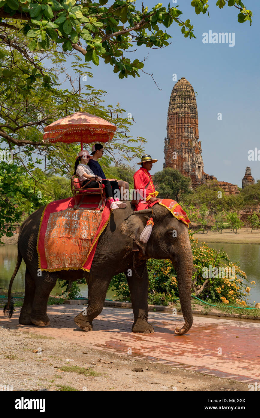 Wat Phra RamAyutthaya Thailand 01 March, 2018 Elephants, near the ruins of Wat Phra Ram Stock Photo