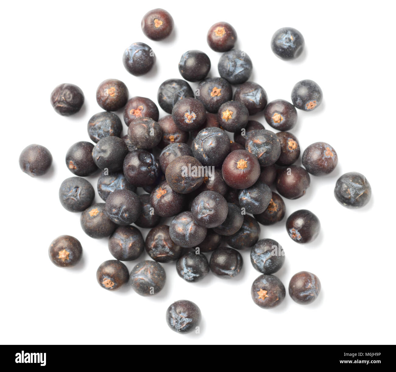 dried juniper berries isolated on white background Stock Photo Alamy