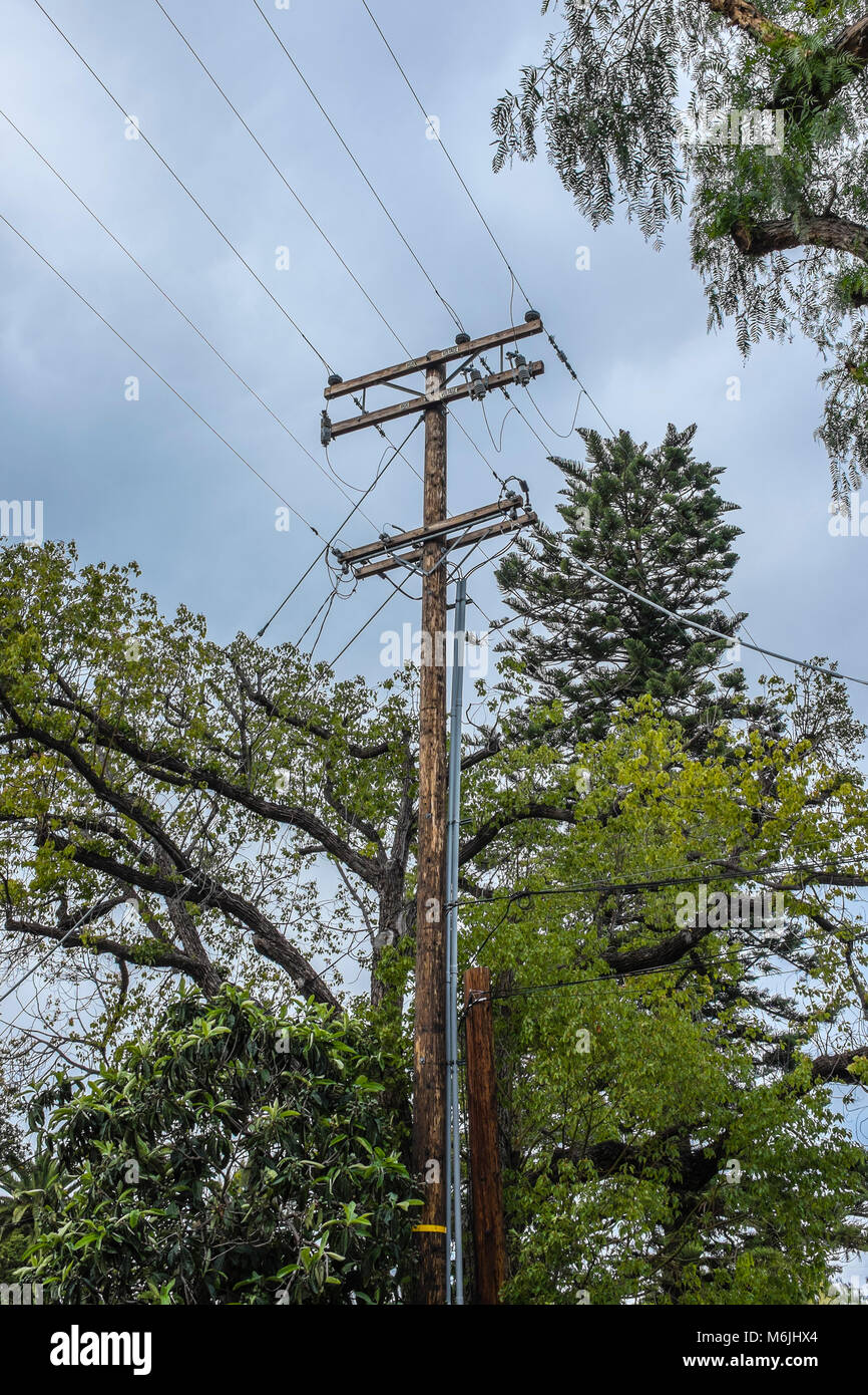 Overhead power and communication lines supported by wooden telegraph pole. Stock Photo