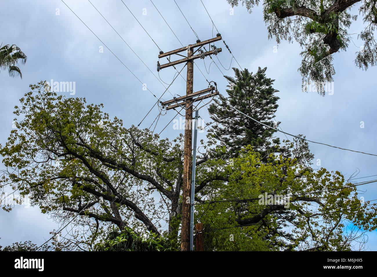 Overhead power and communication lines supported by wooden telegraph pole. Stock Photo