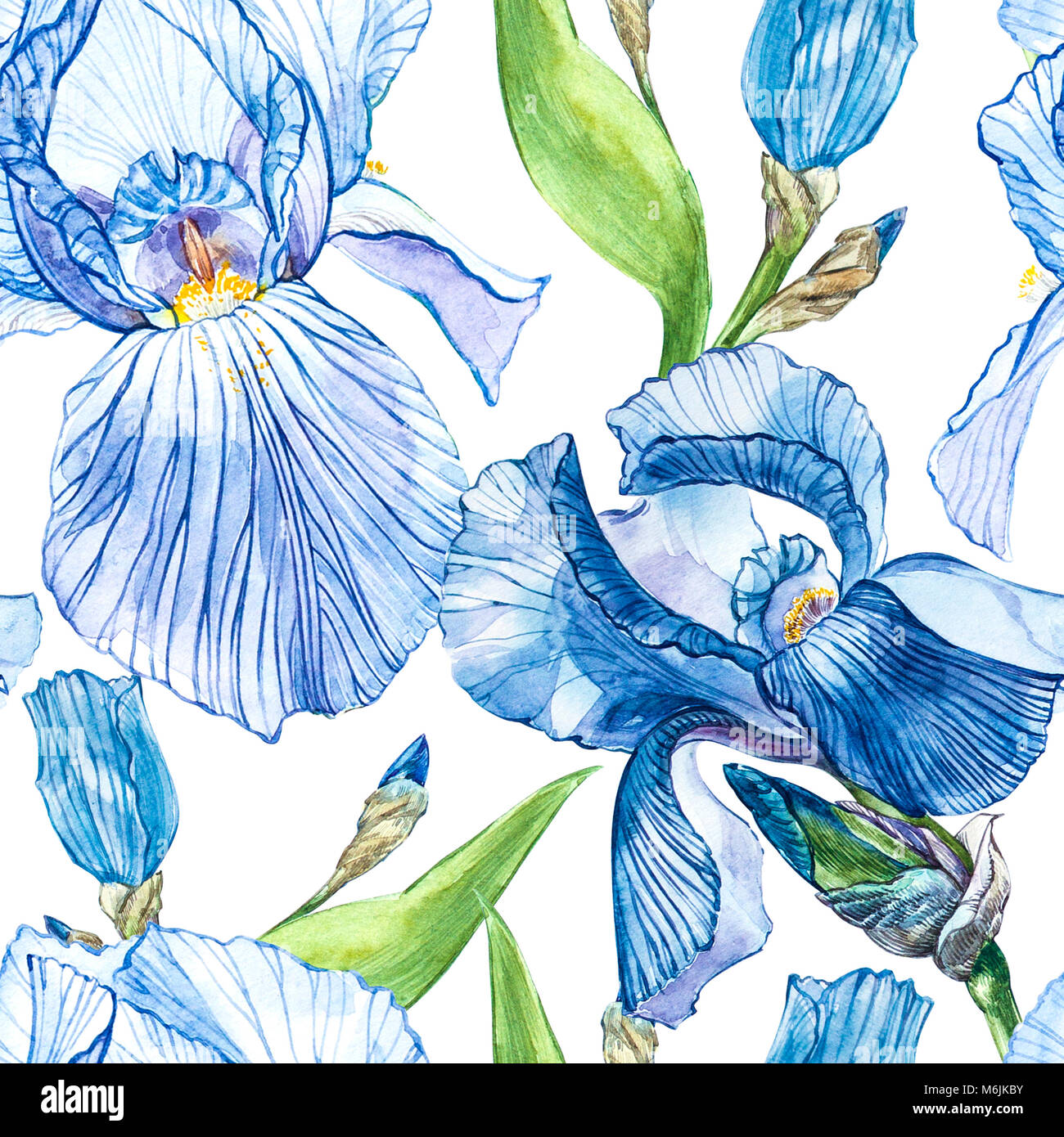 Iris Flower Drawing Stock Photos & Iris Flower Drawing Stock Images - Alamy