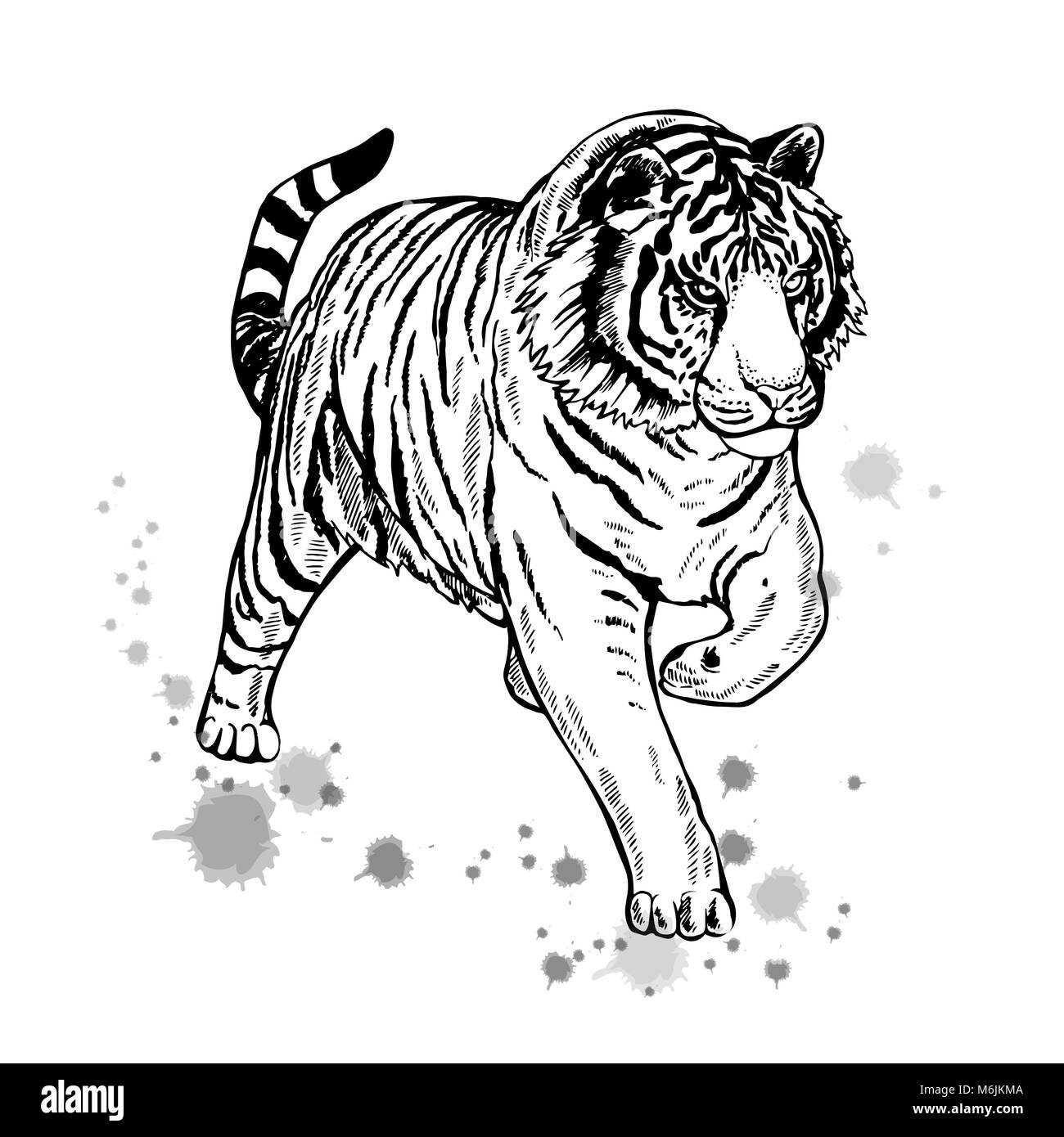 Hand Drawn Sketch Style Tiger Vector Illustration Isolated On White