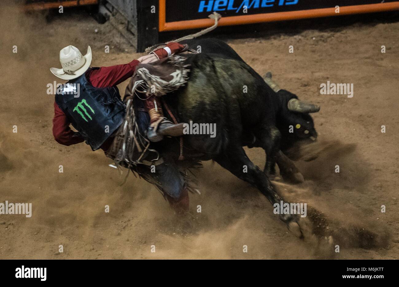 Cowboys sport, horse riding and bull riding, a strong circuit in ...