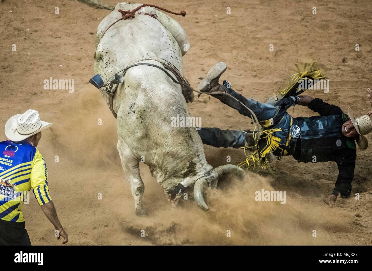Cowboys sport, horse riding and bull riding, a strong circuit in ...