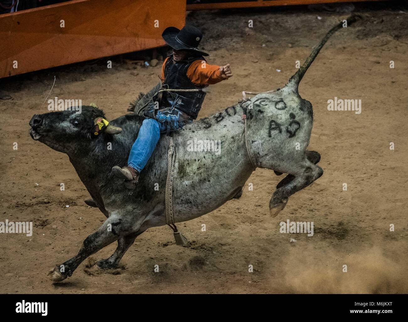 Mexico Bull Rider Cowboys sport, horse riding and bull riding, a strong circuit in ...