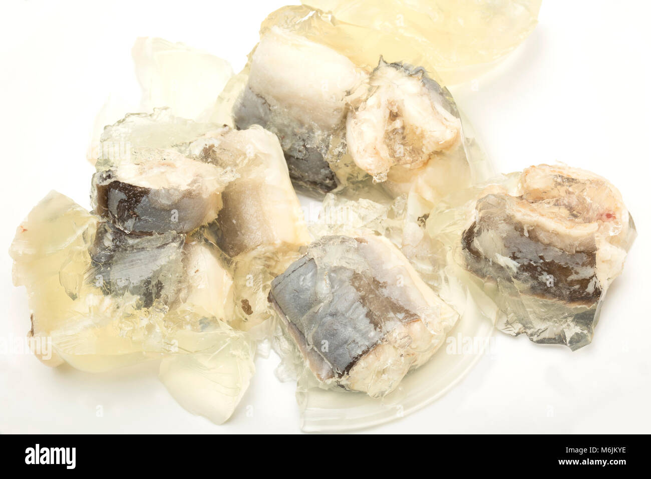 Jellied eels, Anguilla anguilla, bought from a supermarket in England UK GB Stock Photo Alamy
