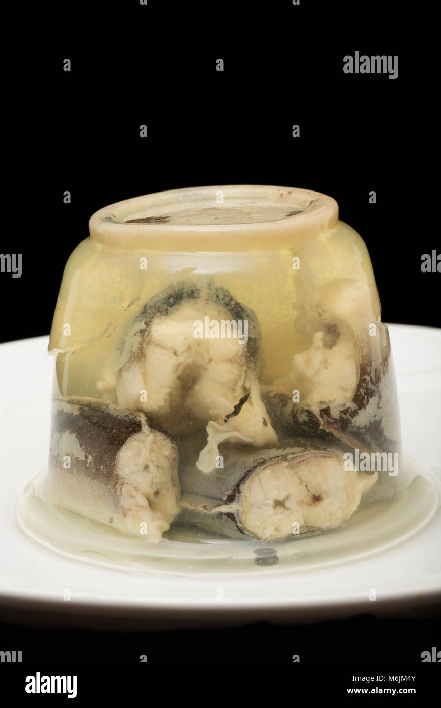 Jellied eels, Anguilla anguilla, bought from a supermarket in England UK GB Stock Photo Alamy