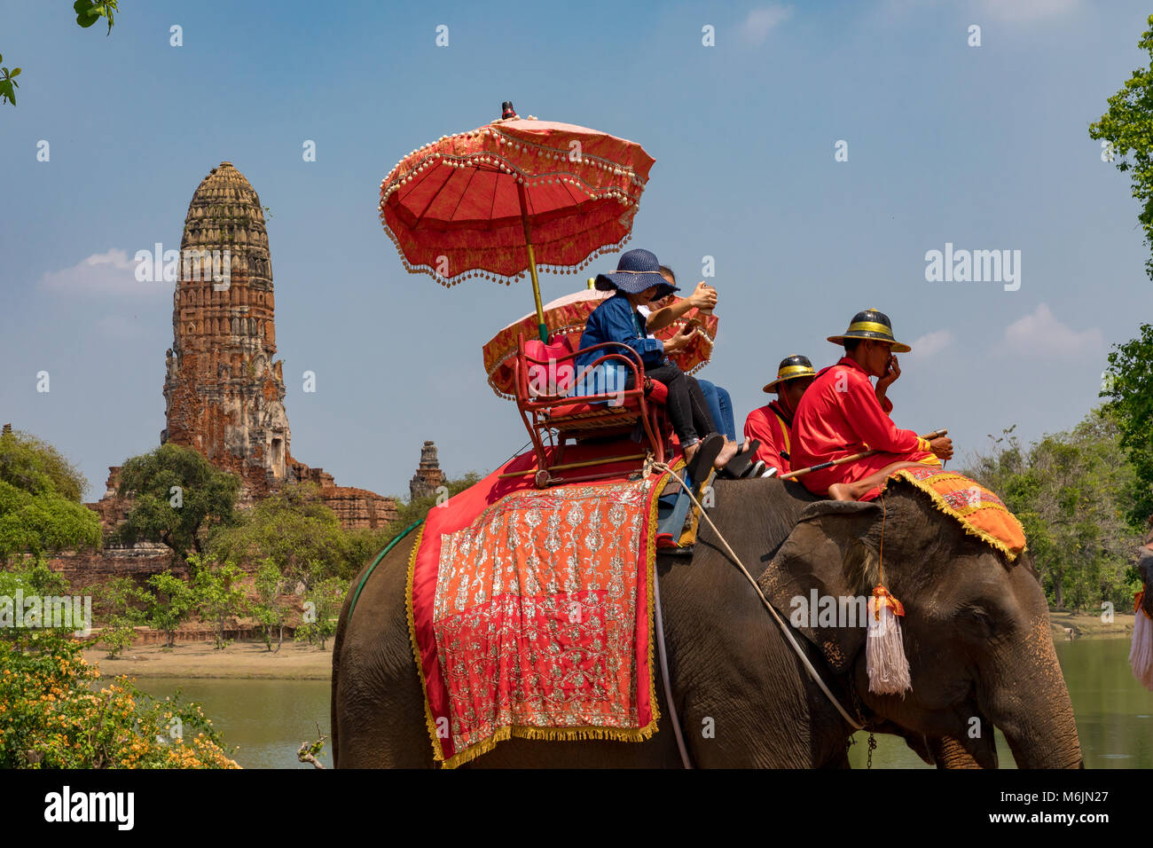 Wat Phra RamAyutthaya Thailand 01 March, 2018 Elephants, near the ruins of Wat Phra Ram Stock Photo