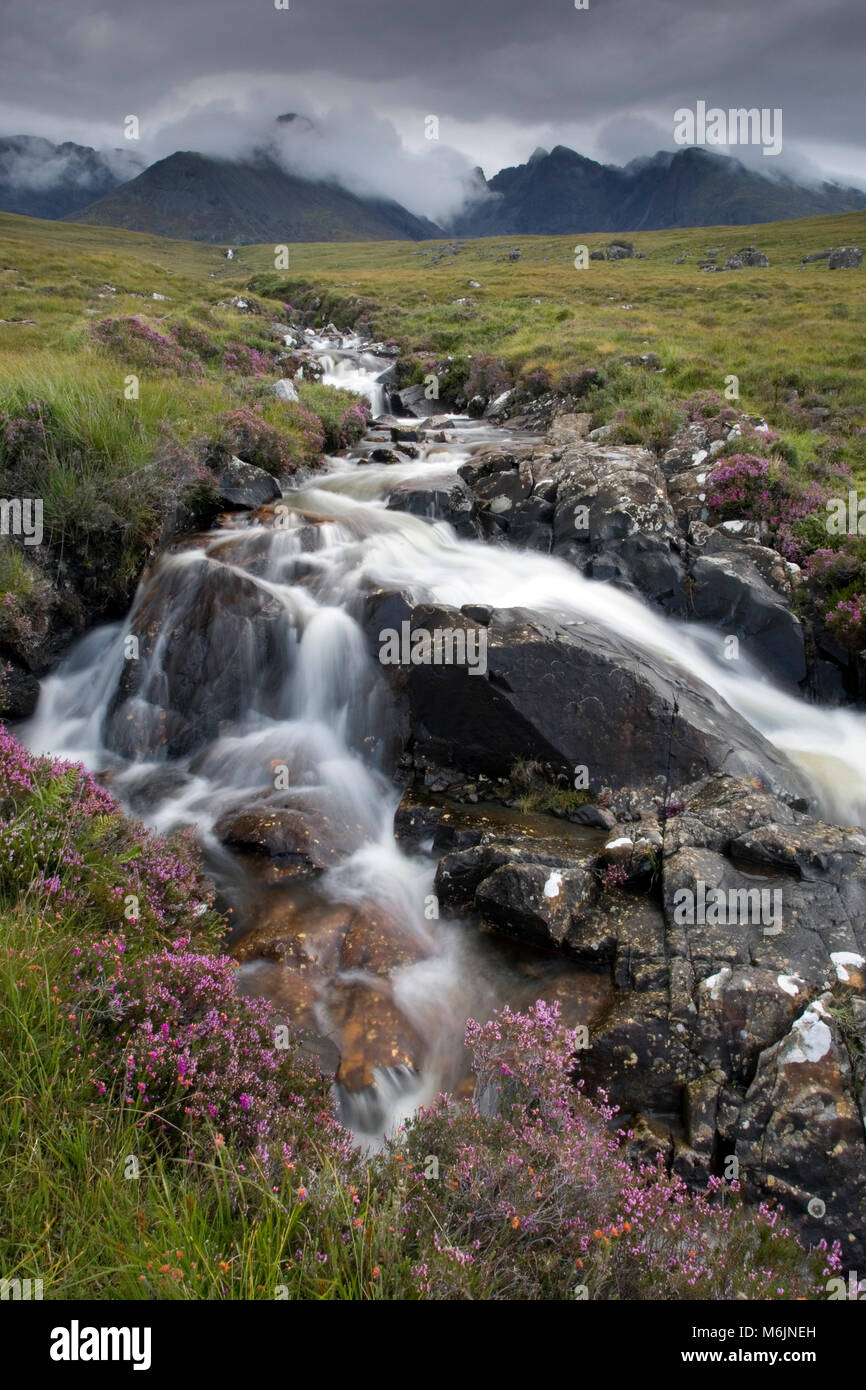 Fast flowing mountain stream cascading down from the Cuillin Hills mountain range, Isle of Skye, Inner Hebrides, Scotland. August Stock Photo