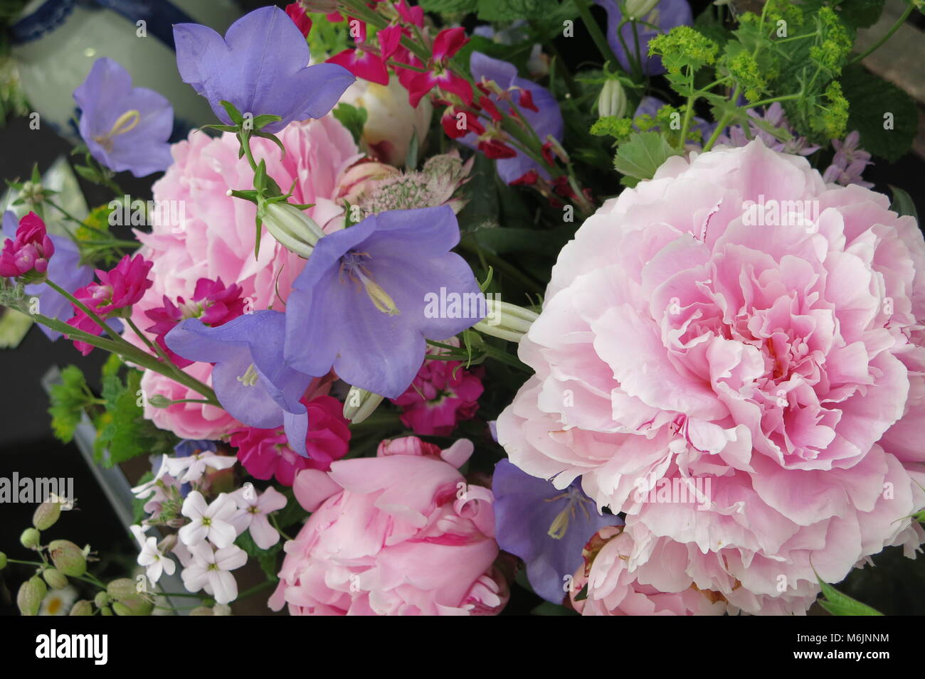 A feminine and romantic flower display of pink peonies and blue bell-shaped flowers Stock Photo