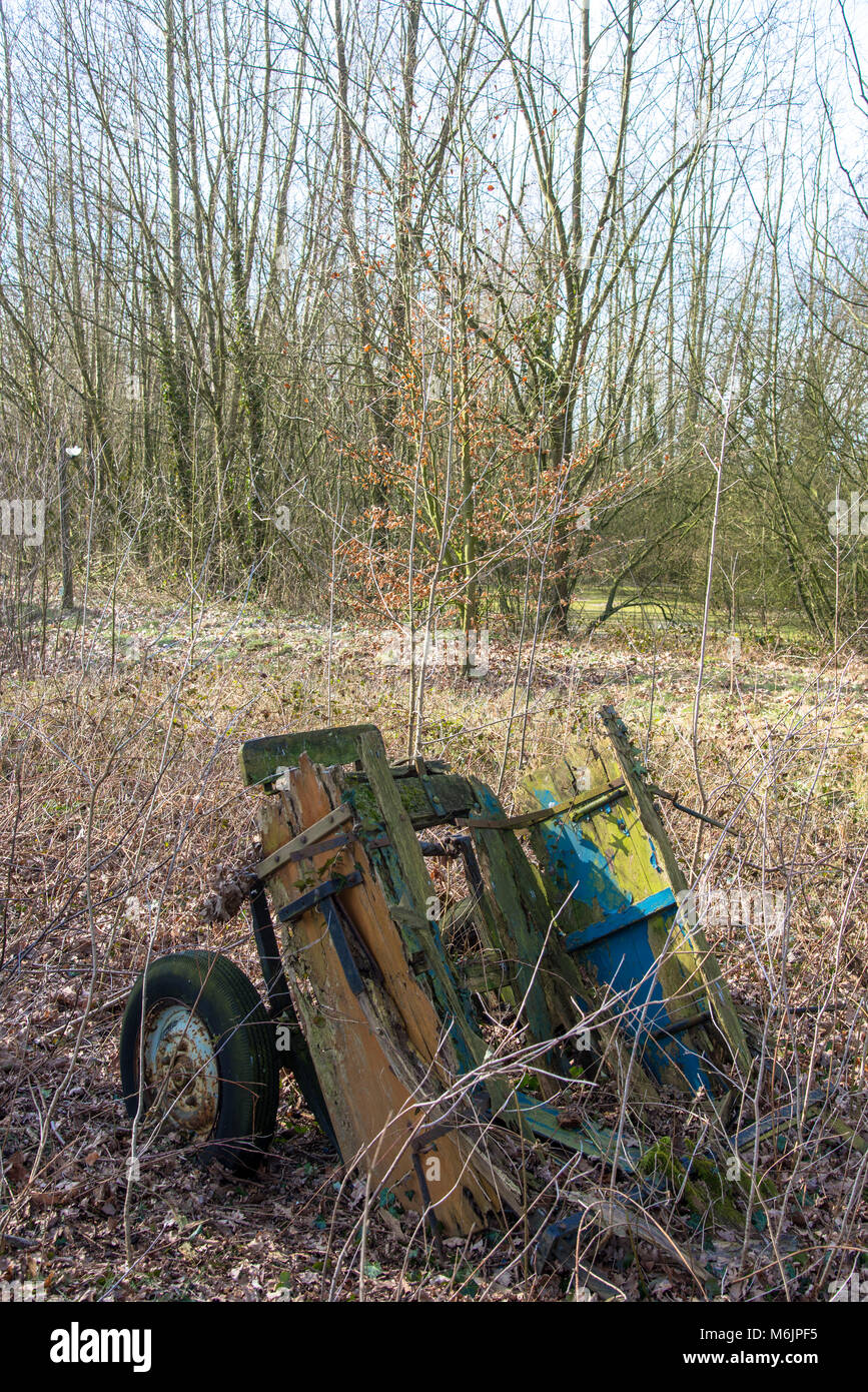 old cart in forest with young trees in Achterhoek, Gelderland, Holland Stock Photo