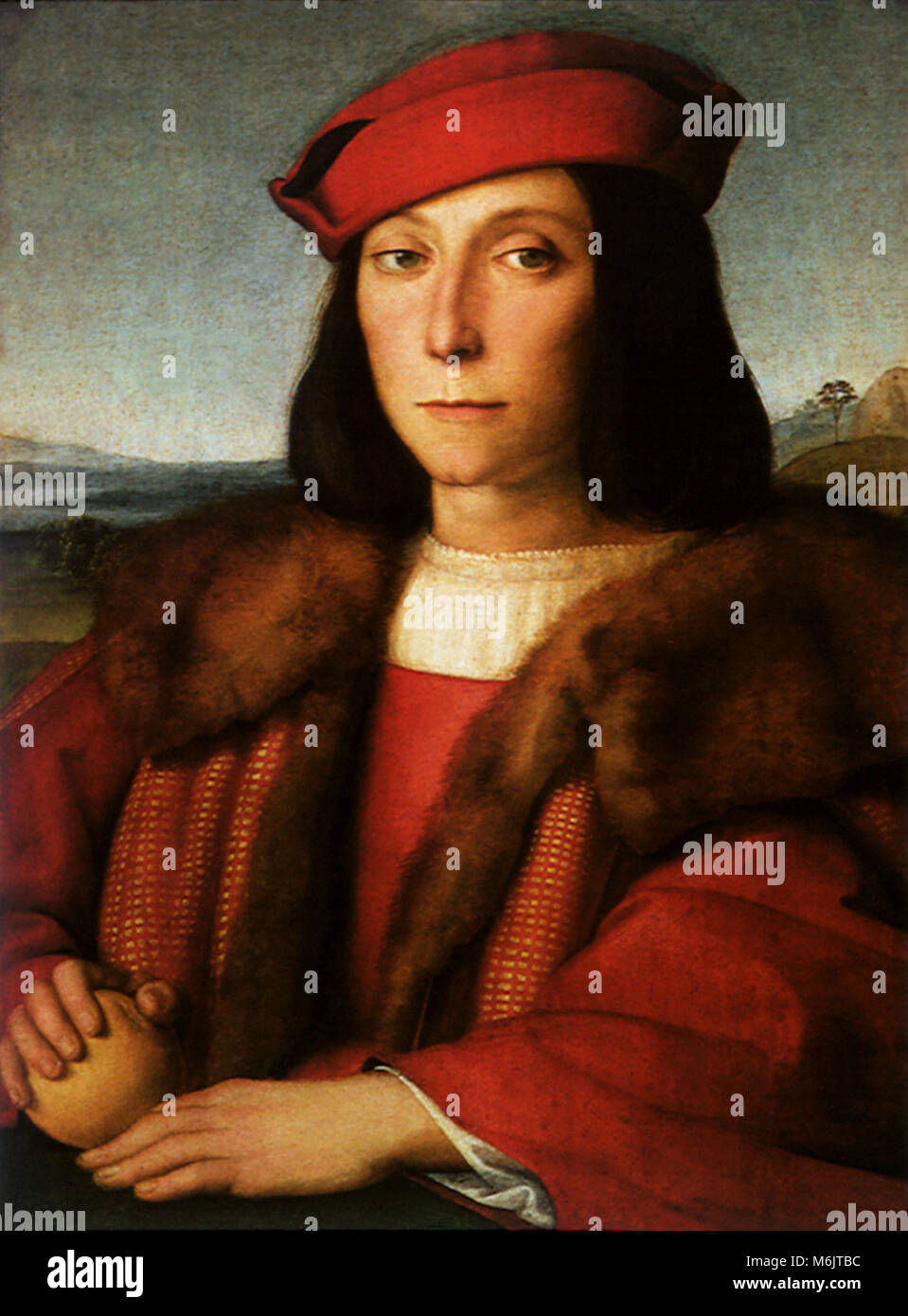 Portrait of Francesco Maria della Rovere, Raphael, Raffaello S., 1505. Stock Photo