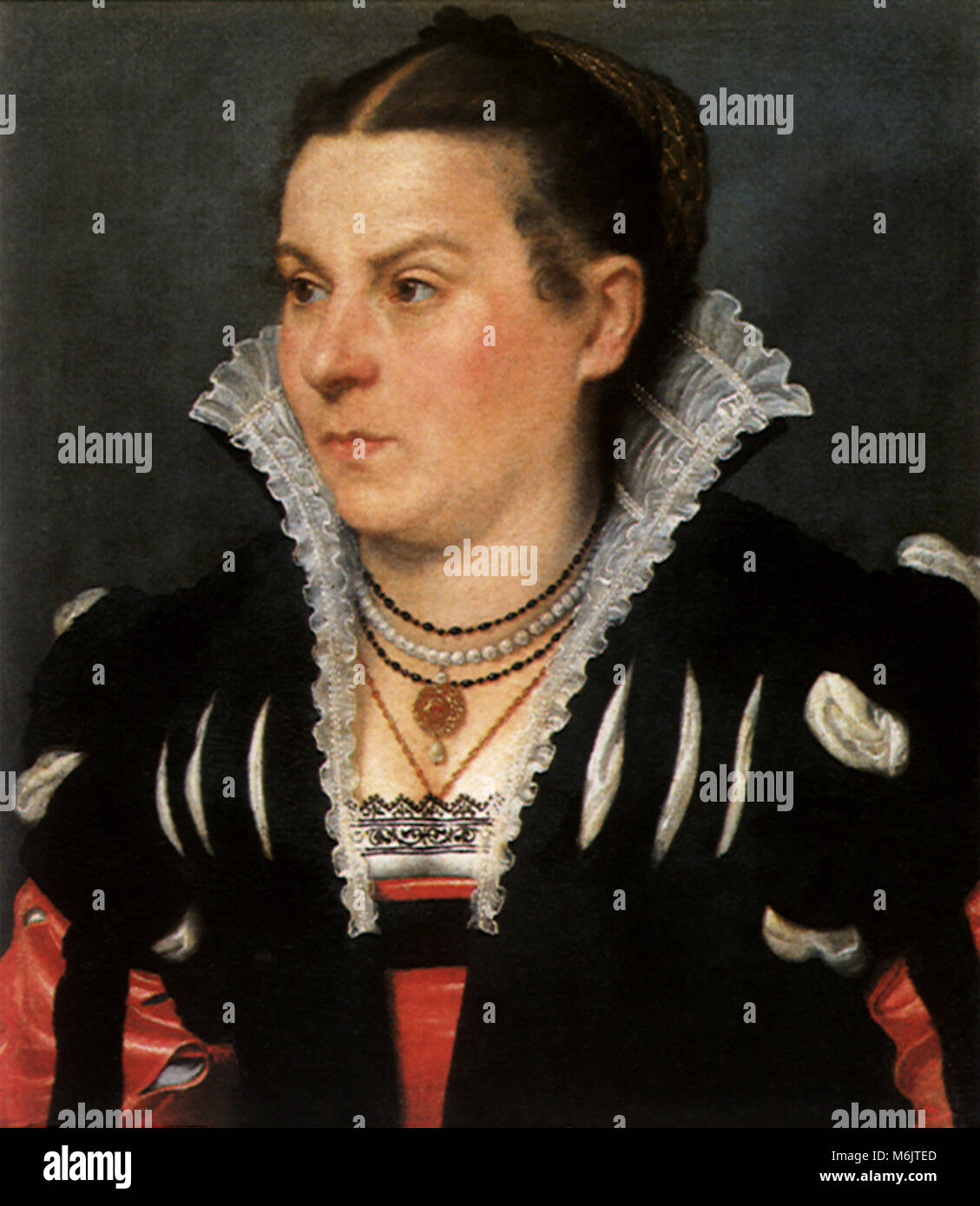 Portrait of a Noblewoman, Moroni, Giovanni Battista, 1535. Stock Photo