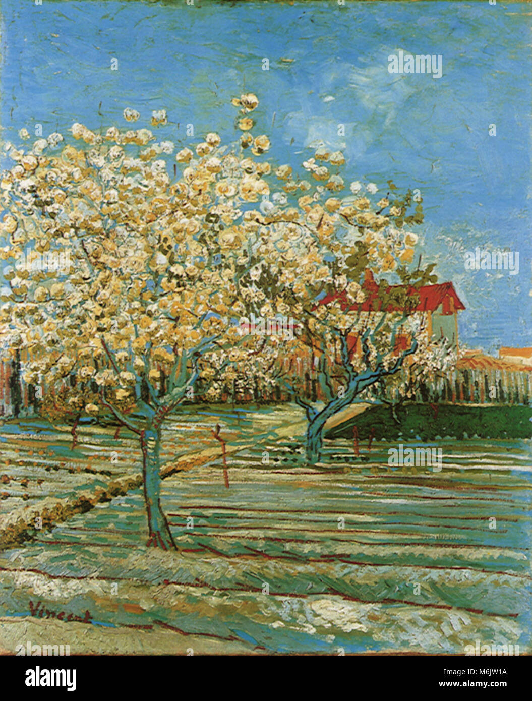 blossom van gogh