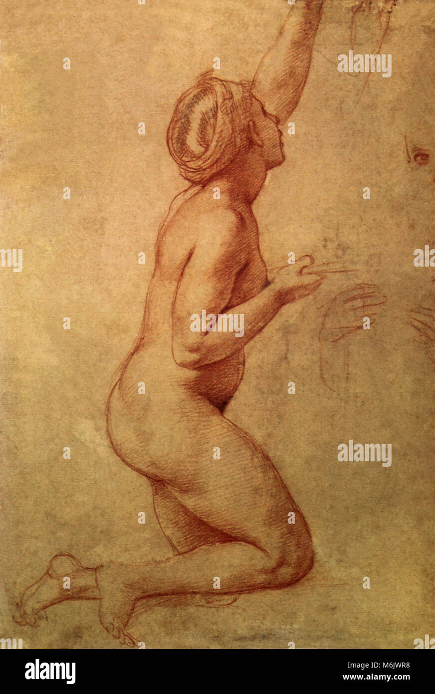 Jeune fille nue, agenouillee, tournee vers la droite, Raphael, Raffaello S., 1517. Stock Photo