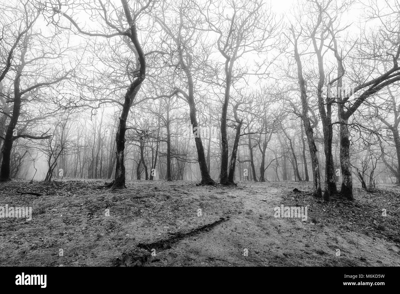 winter Ticino riverbanks landscapes Stock Photo - Alamy