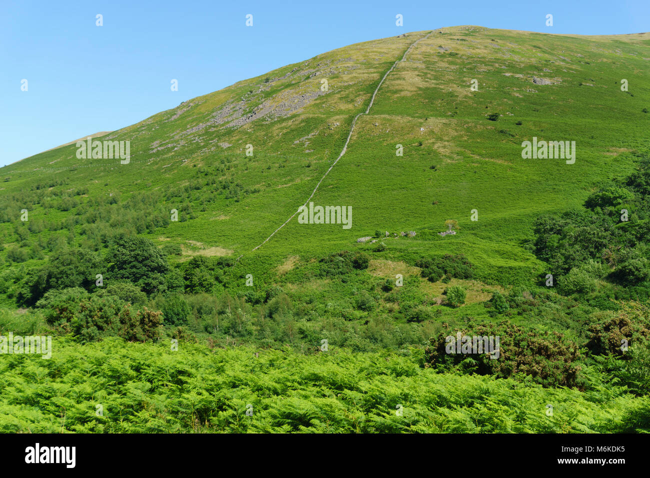 College Valley, Northumberland Cheviots, private trust area of outstanding natural beauty with controlled free access. Stock Photo