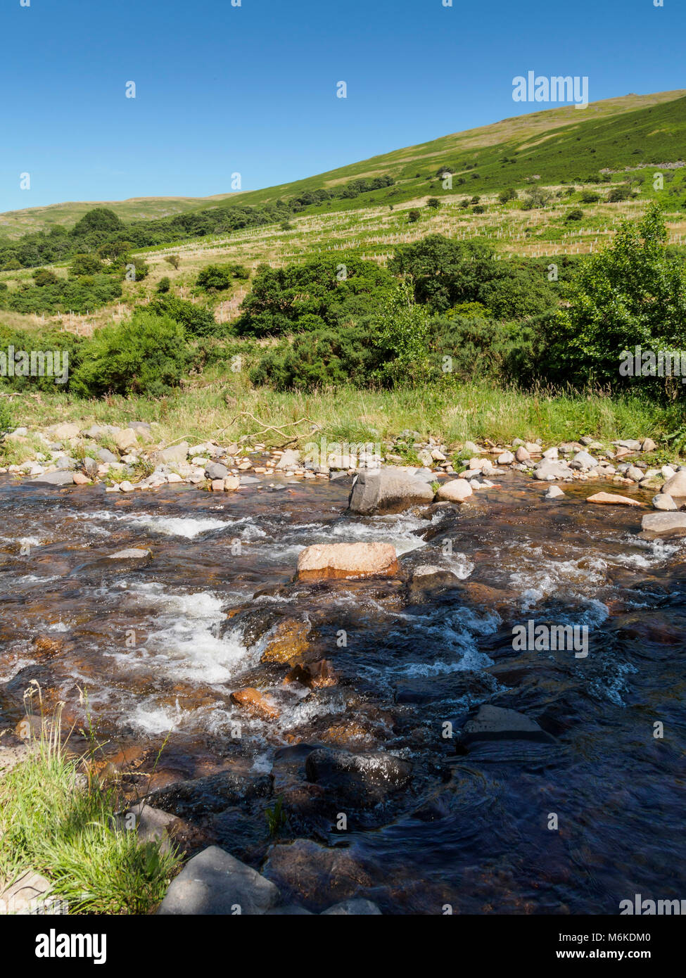 College Valley, Northumberland Cheviots, private trust area of outstanding natural beauty with controlled free access. The College Burn river. Stock Photo
