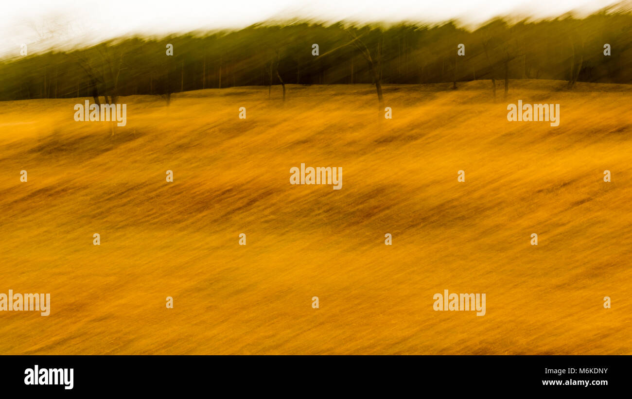 stages at the edge of the forest Stock Photo - Alamy