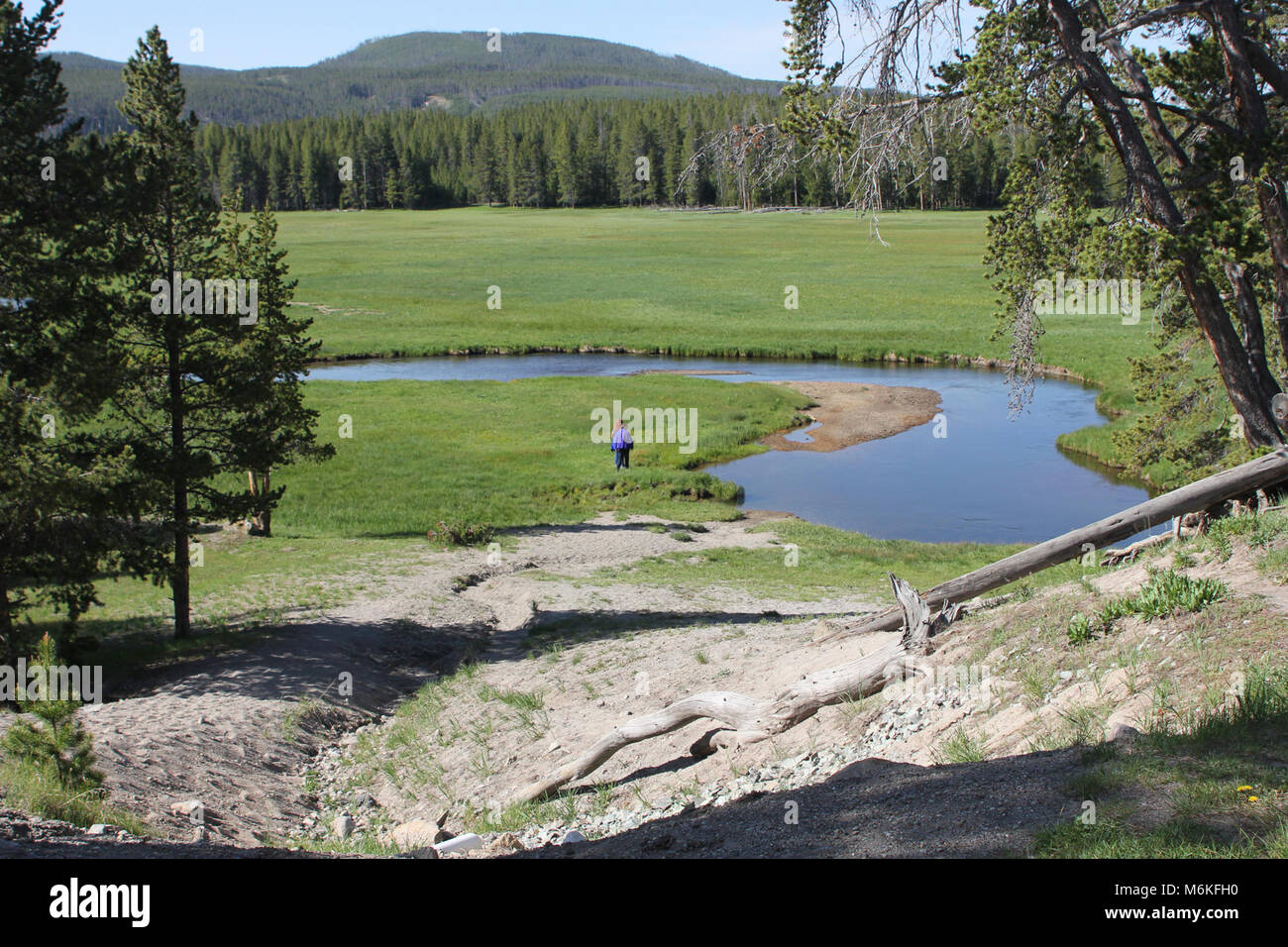 Gibbon River as seen from Norris Campground. Visitors walking to Gibbon