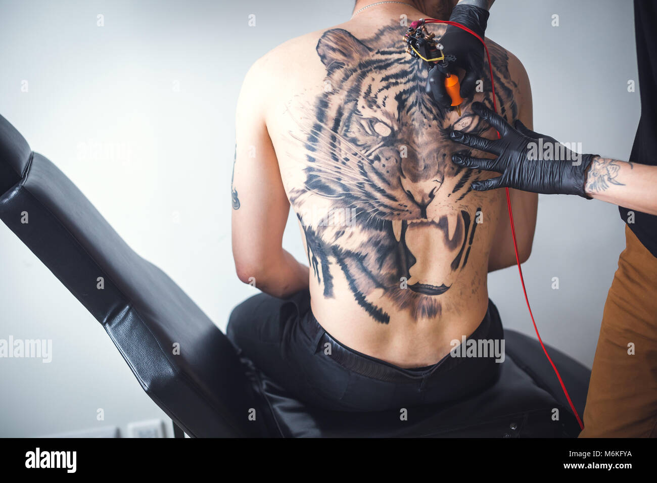 american traditional tiger chest tattoo｜TikTok Search