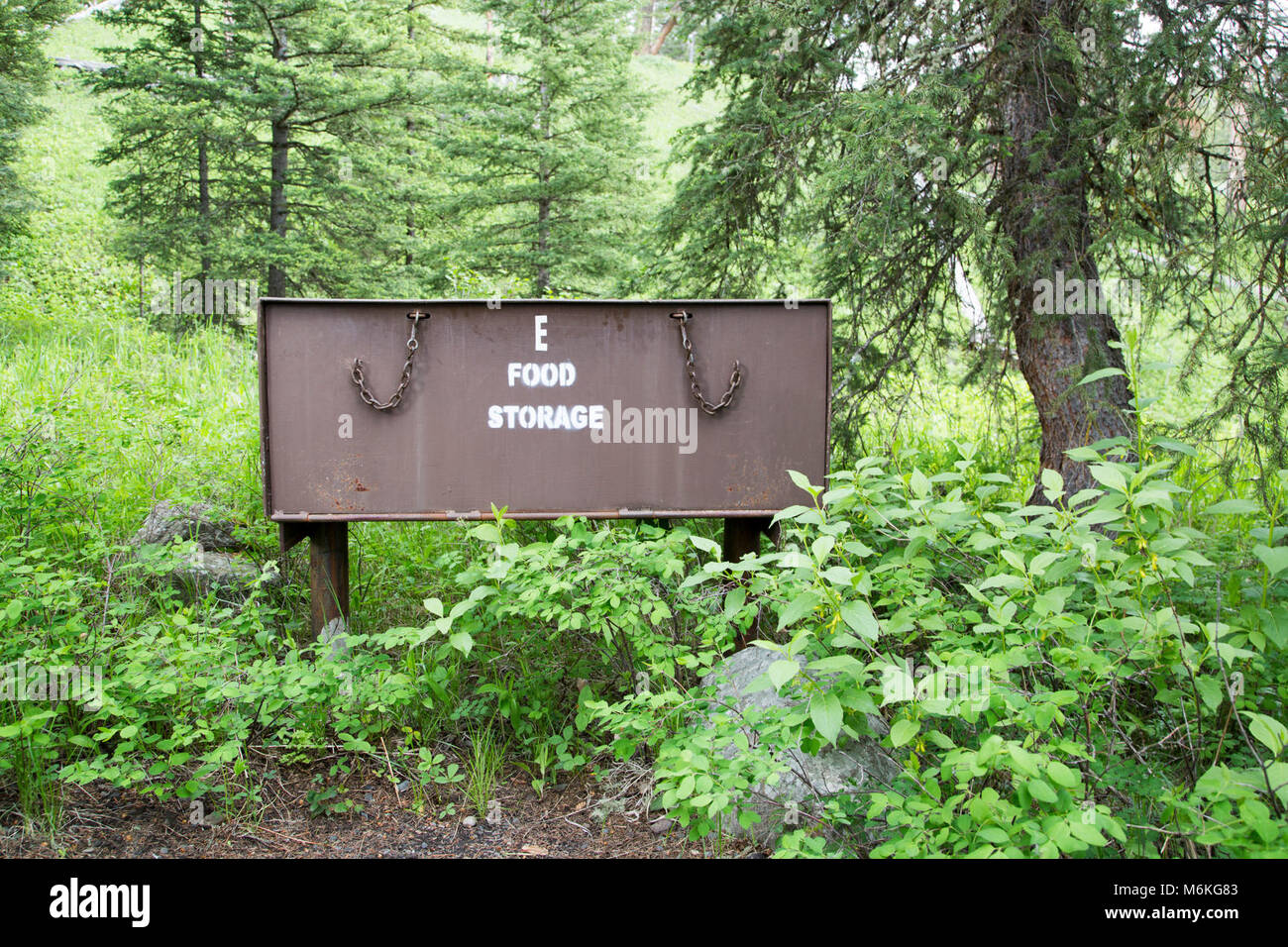 Pebble Creek Campground bearproof food storage box. Pebble Creek