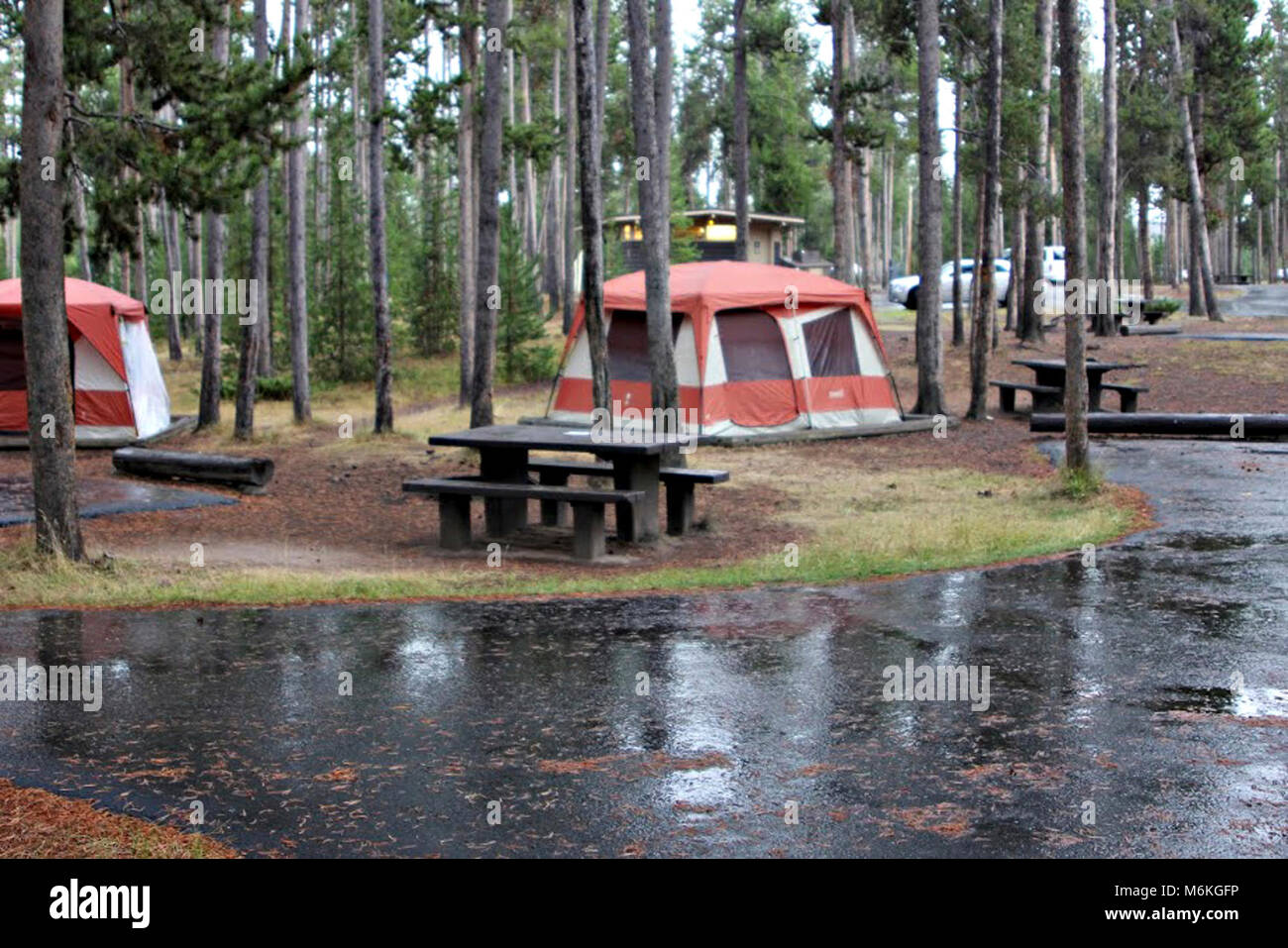 Madison Campground. Tent sites at the Madison Campground Stock Photo