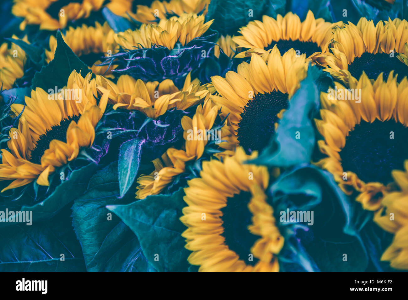 Featured image of post Fondos Tumblr Hd Horizontal