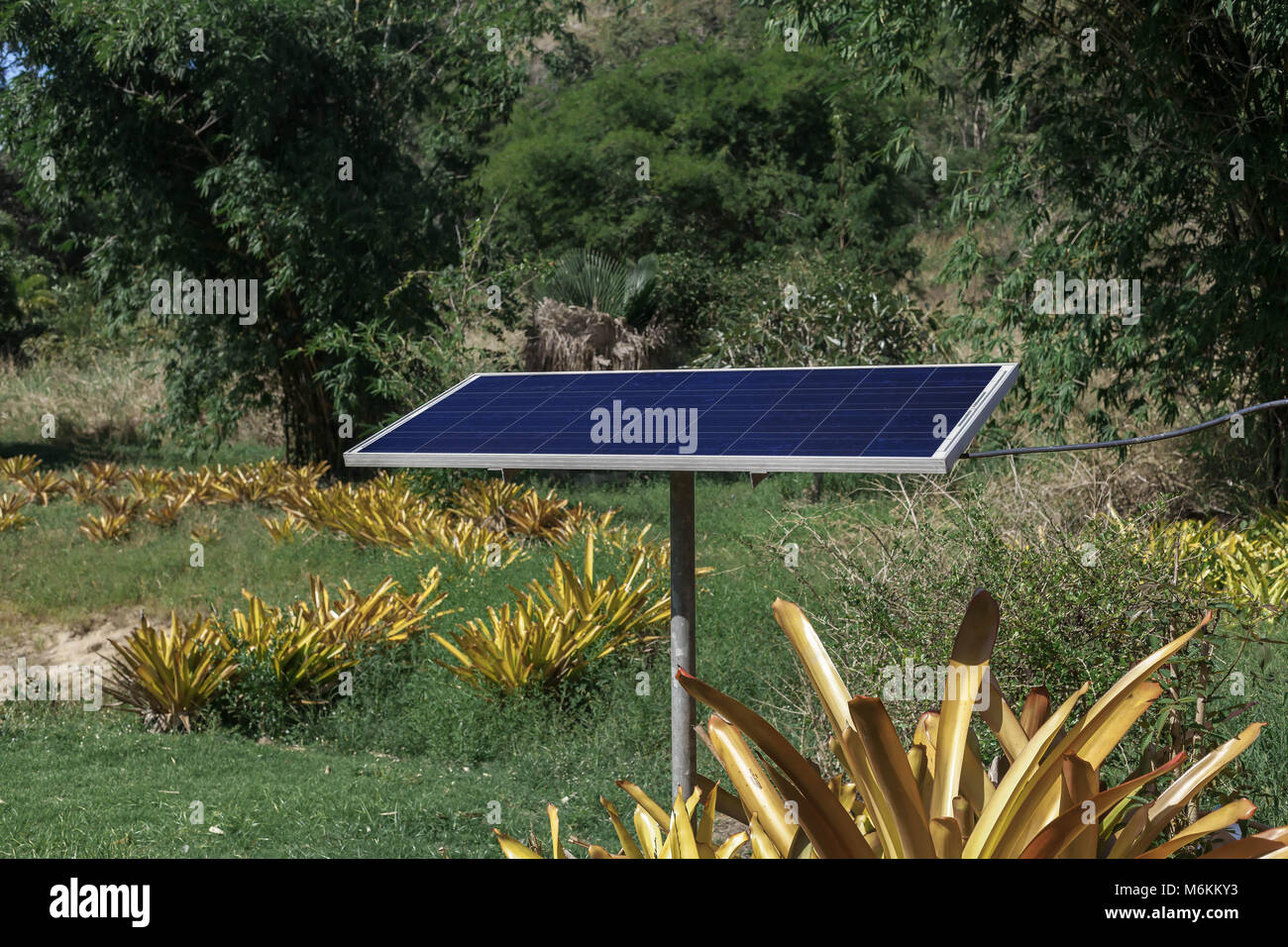 Solar cell panel in the jungle.green ecology Stock Photo - Alamy