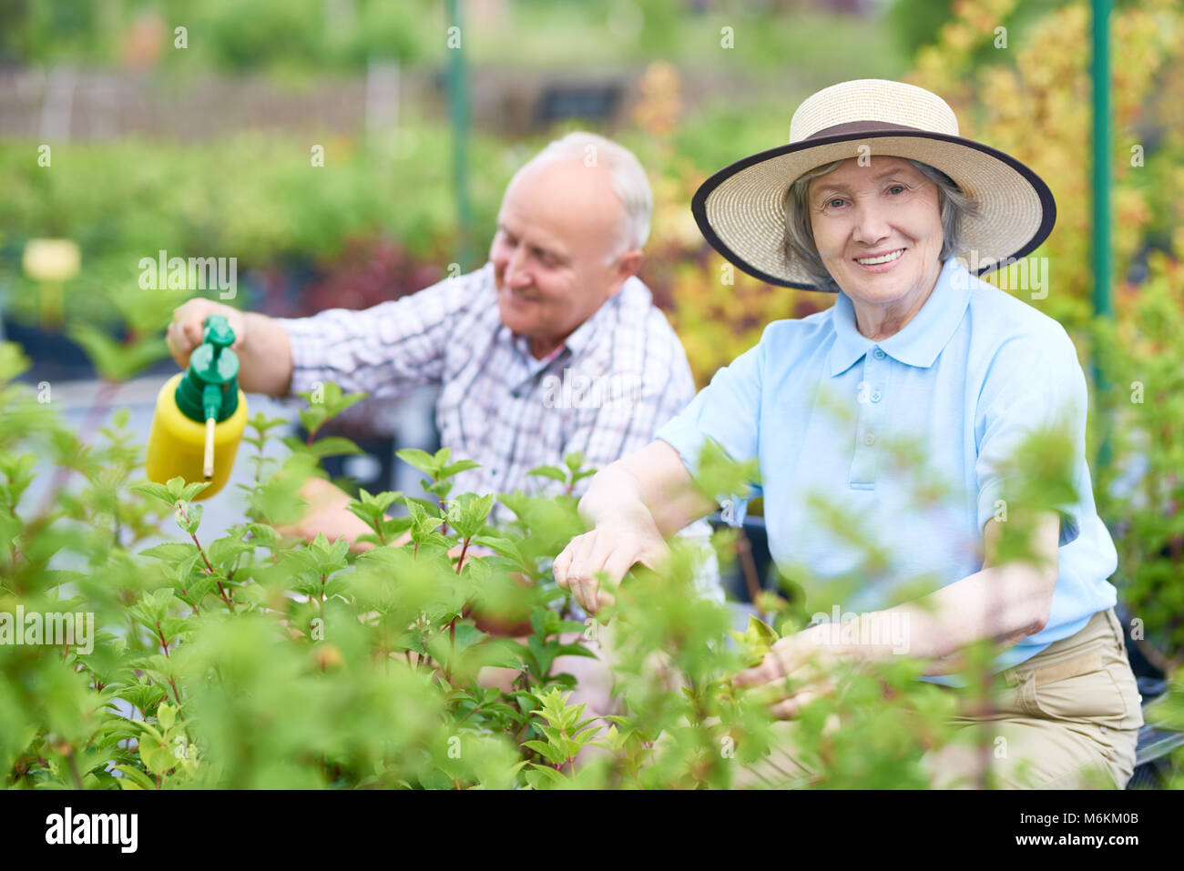 Senior Woman Gardening in Plantation Stock Photo - Alamy